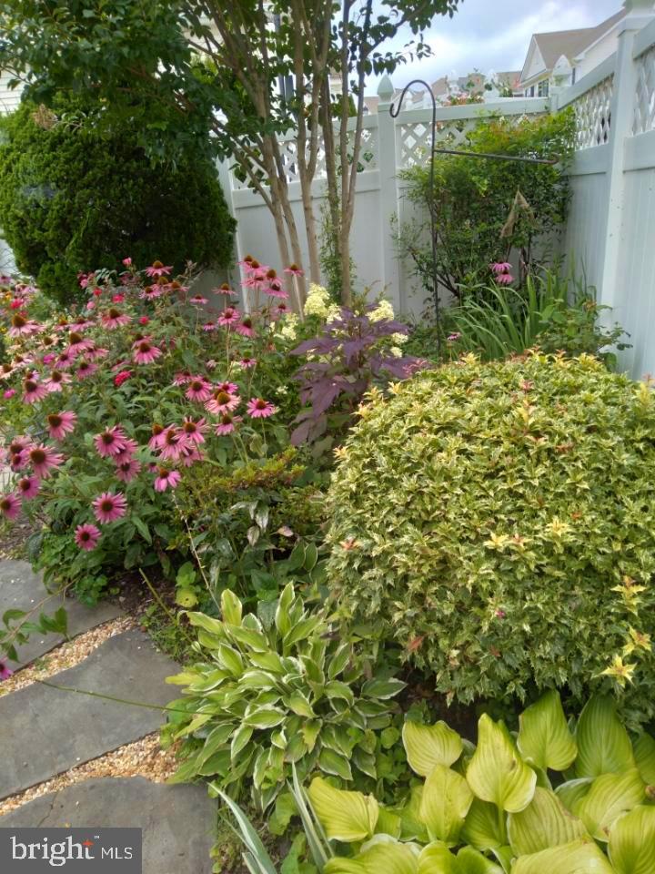 FOXFIELD AT MIDDLETOWN - Residential