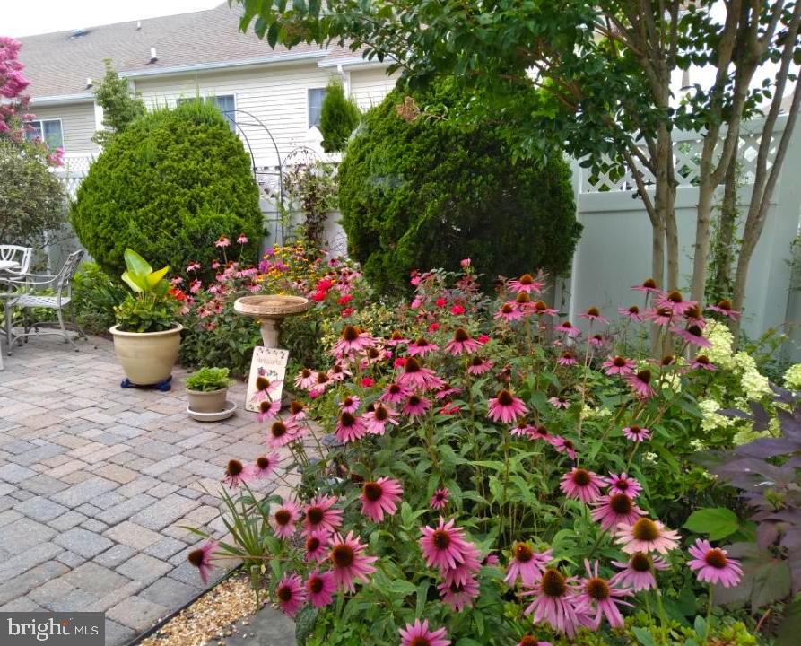 FOXFIELD AT MIDDLETOWN - Residential