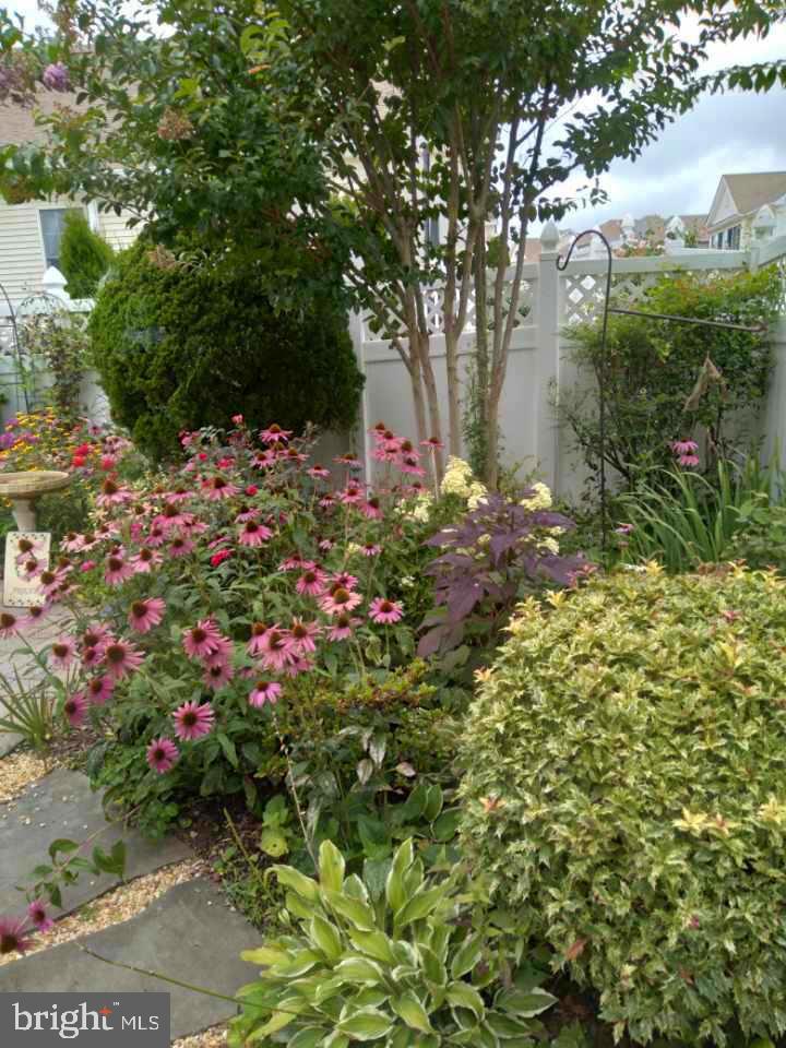 FOXFIELD AT MIDDLETOWN - Residential