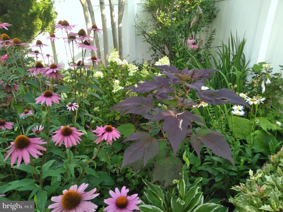 FOXFIELD AT MIDDLETOWN - Residential