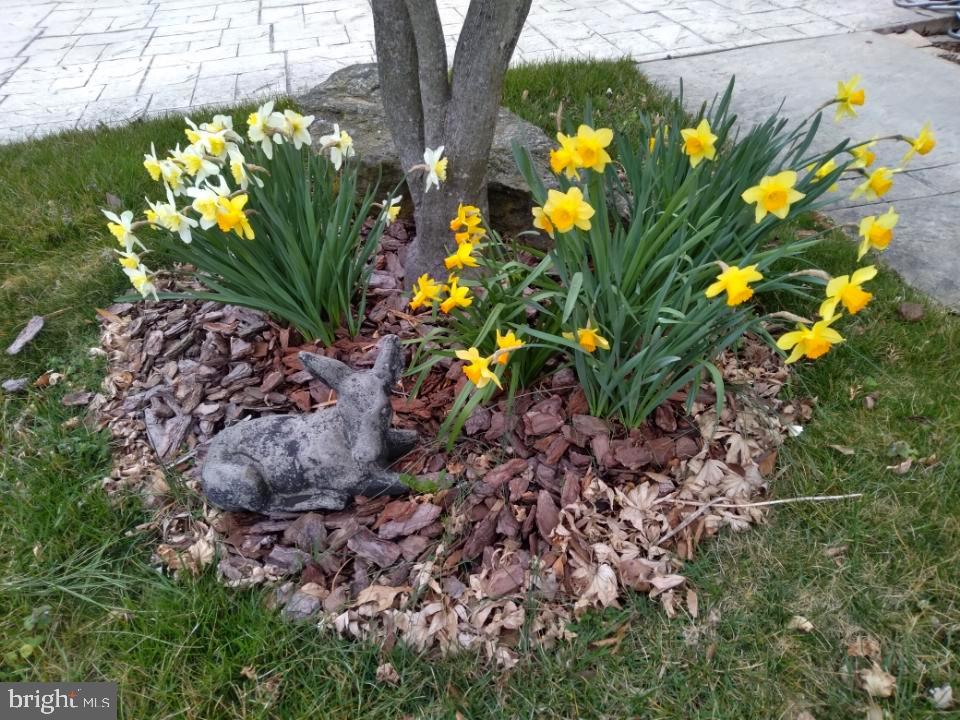 FOXFIELD AT MIDDLETOWN - Residential