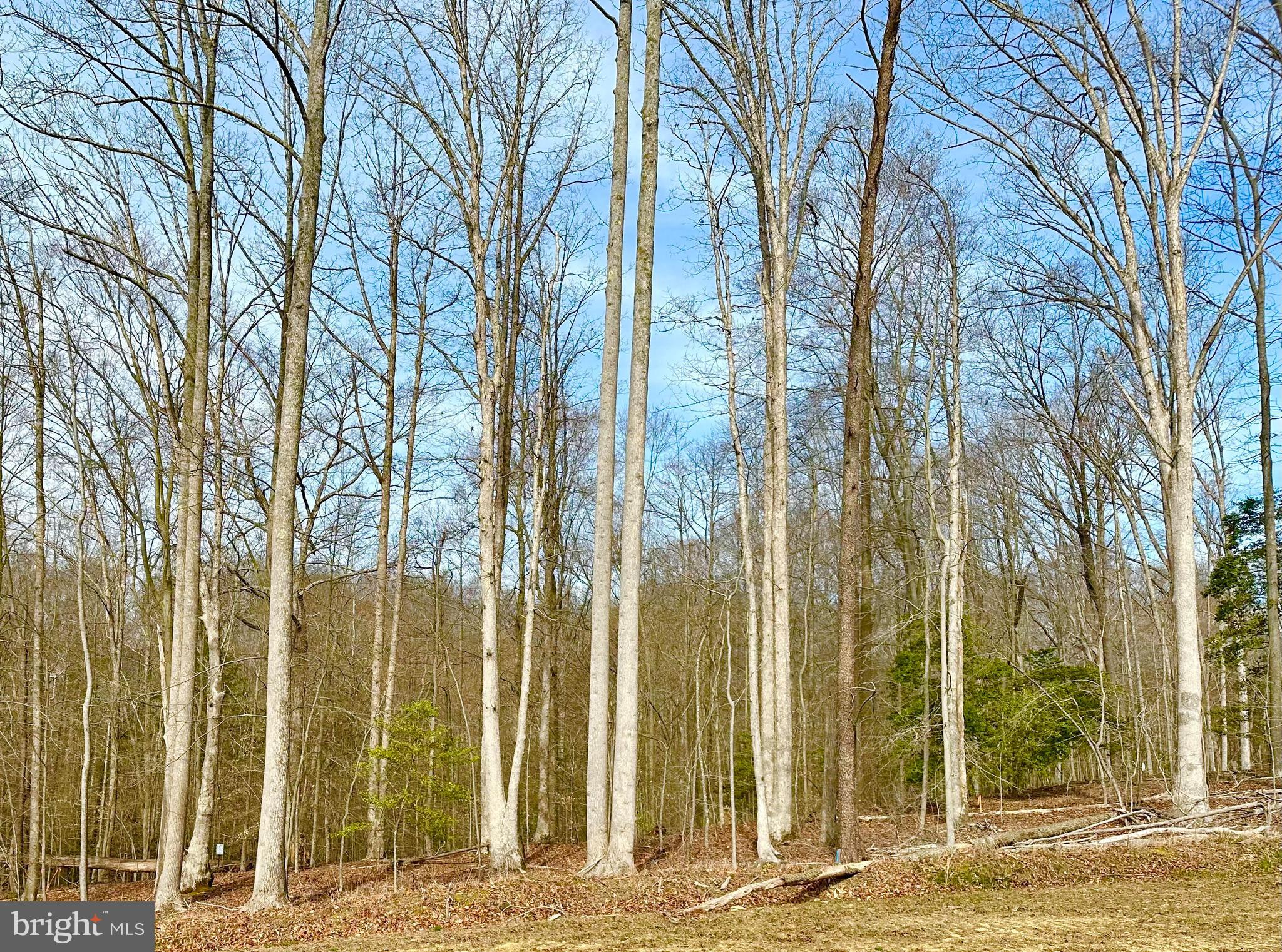 OAKLAND HALL - Residential