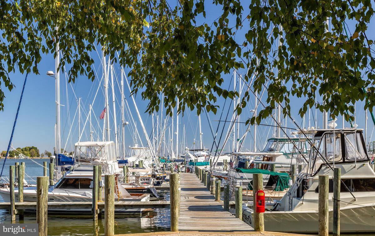 NORTH BEACH PARK - Residential