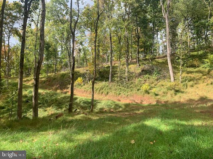 Final Lots just released!  Blandemar Farm Estates is one of the most beautiful and serene neighborhoods in the East coast. Gently rolling roads, glistening lake, stunning mountain views & peaceful nature are all offered in this upscale community. So, if you are Looking for a place to build your private & unique mountain top estate, look no further! This is an established neighborhood, and the developer has just released the last of the lots. This beautiful pristine property features 21.21 acres with nature abound. Tax is in Land Use. Easy commute to Charlottesville (approx. 9.5 miles to UVA).