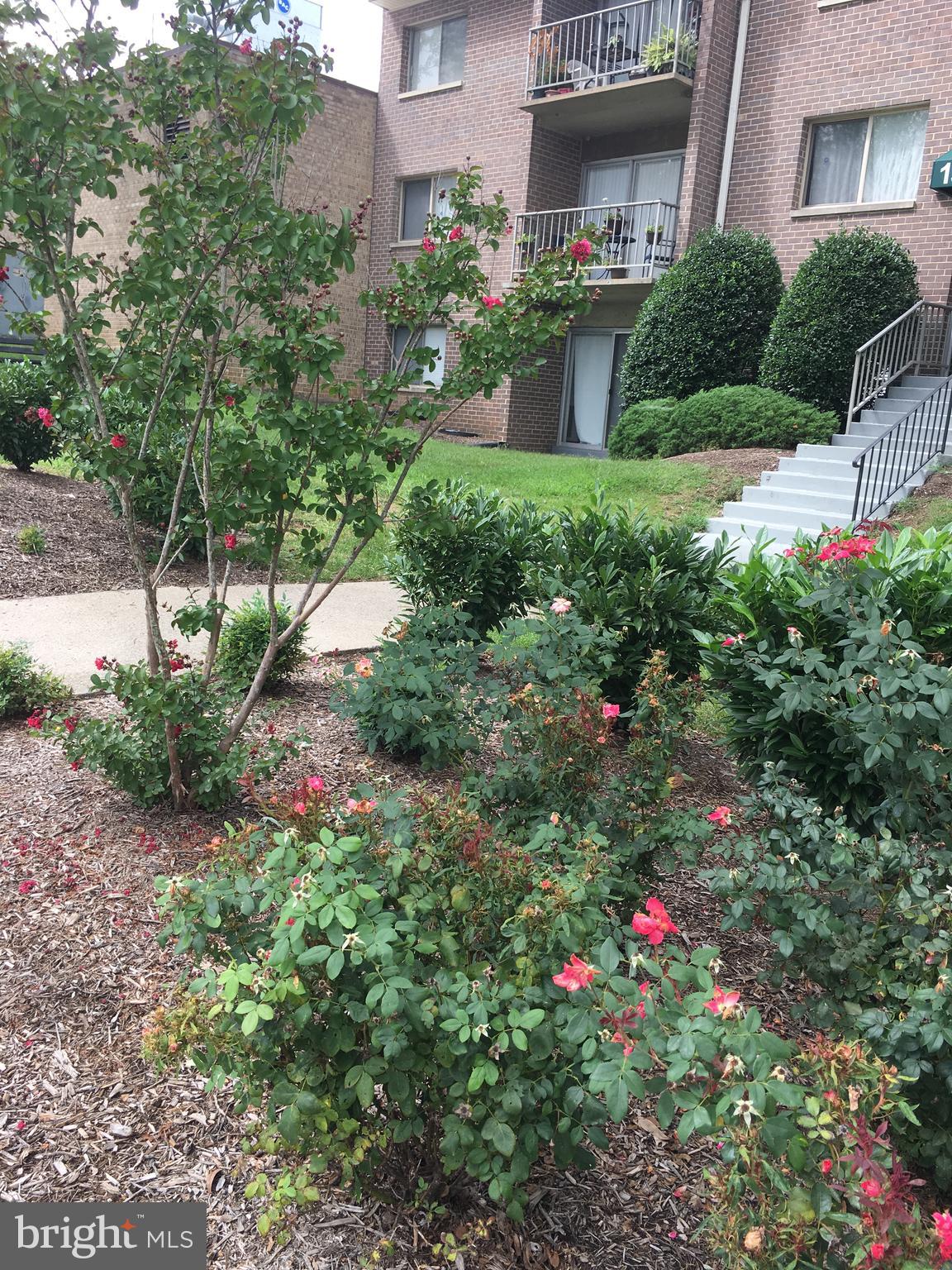 OCCOQUAN RIDGE - Residential