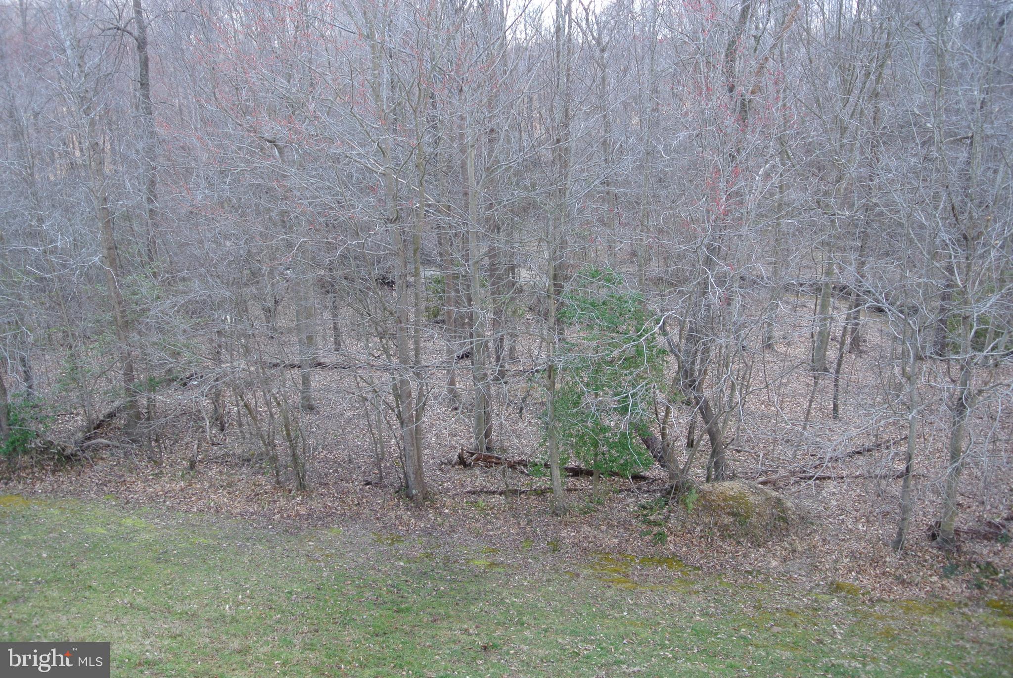 KINGS GRANT LA PLATA - Residential