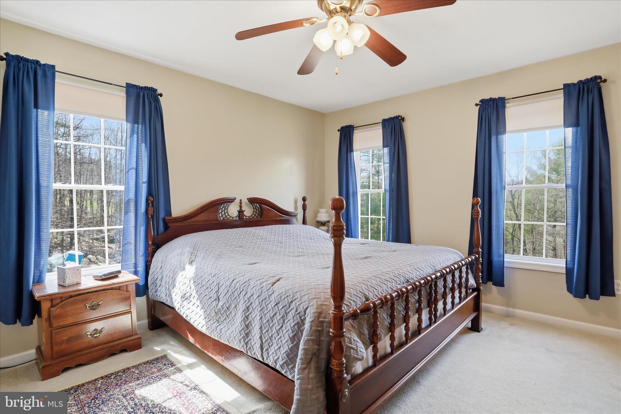 SHEN FARMS MT LAKE - Residential