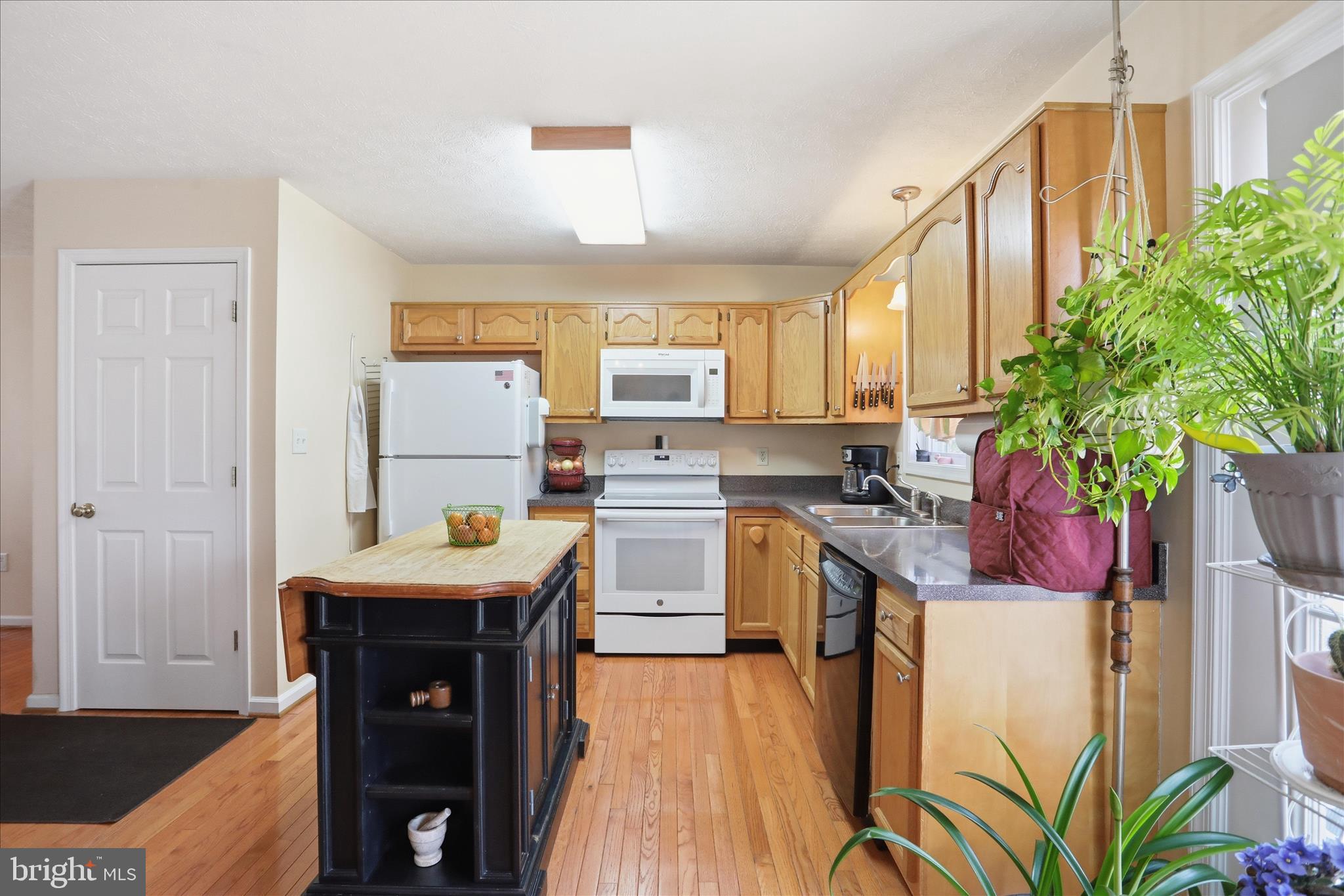 SHEN FARMS MT LAKE - Residential