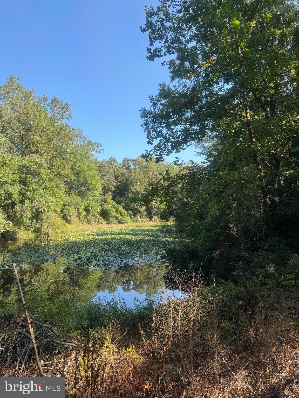 185 POND POINT AVENUE