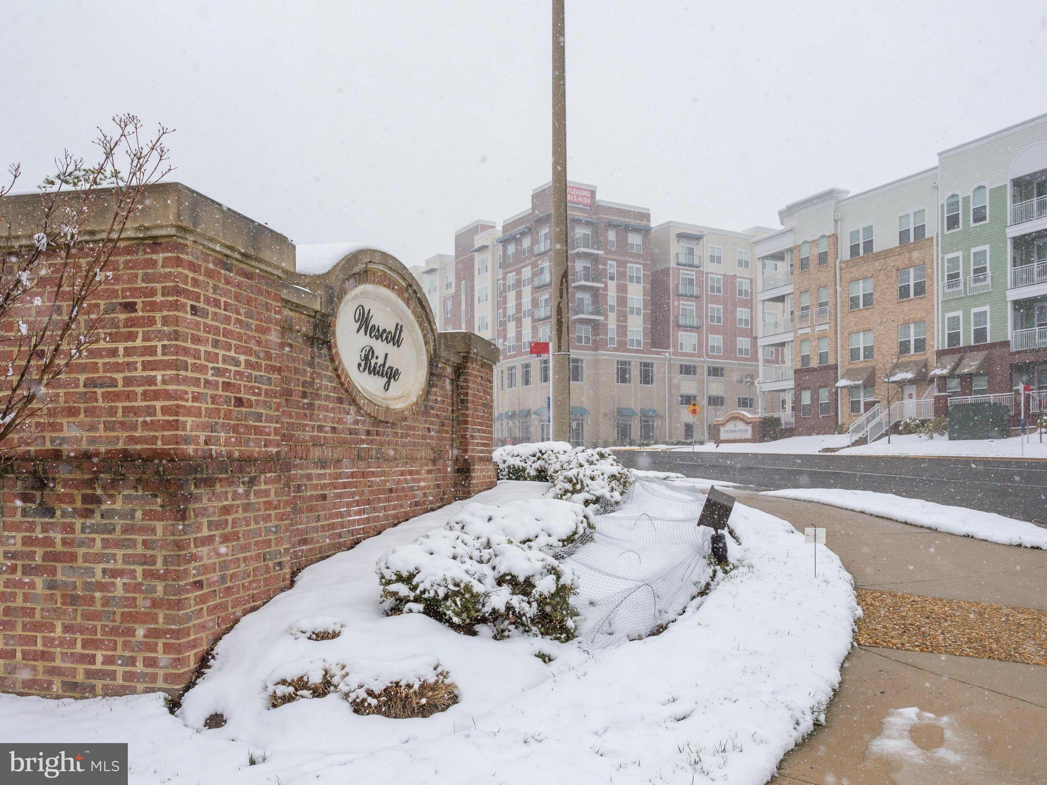 COURTS AT WESCOTT RIDGE - Residential