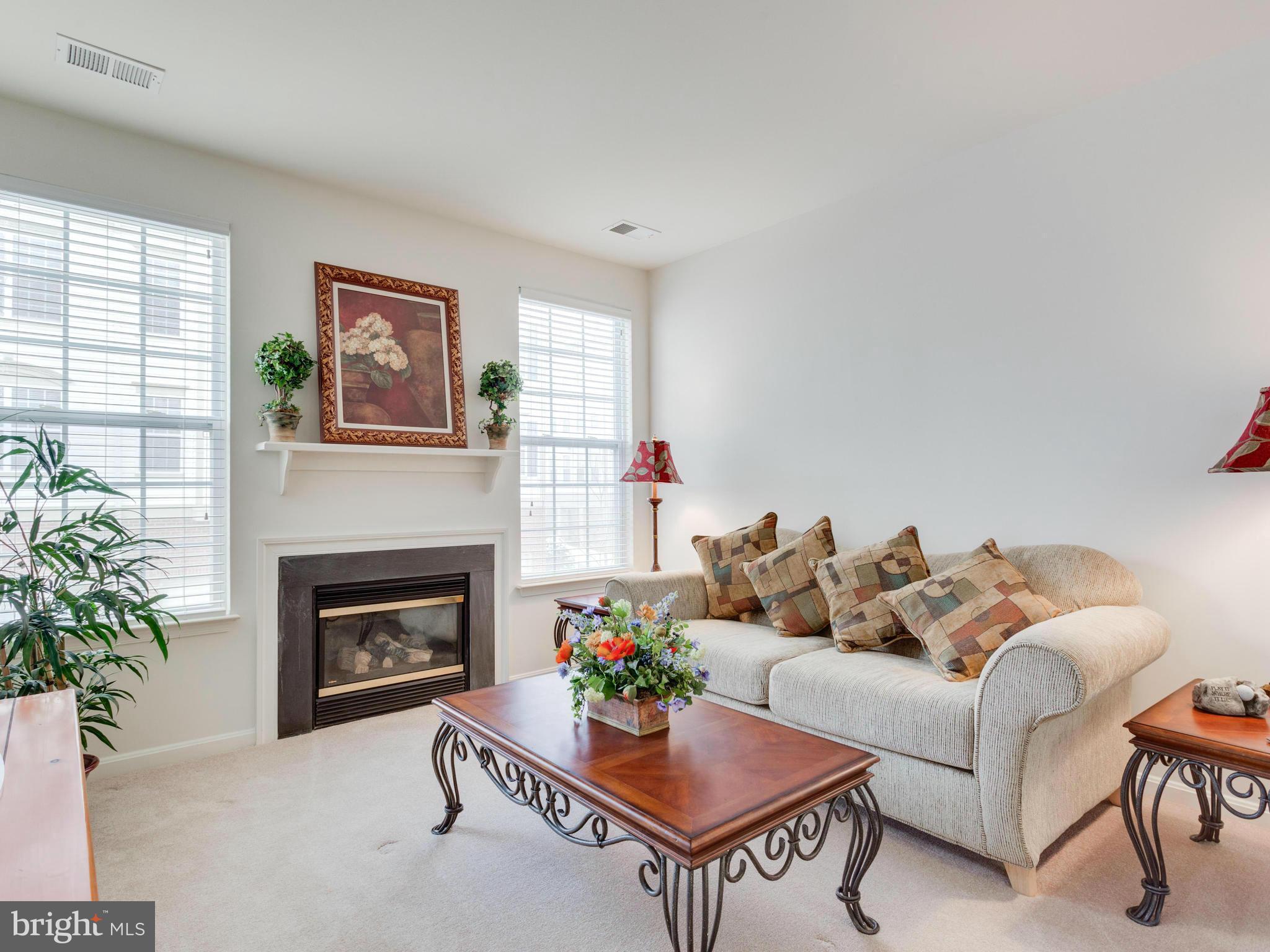 COURTS AT WESCOTT RIDGE - Residential