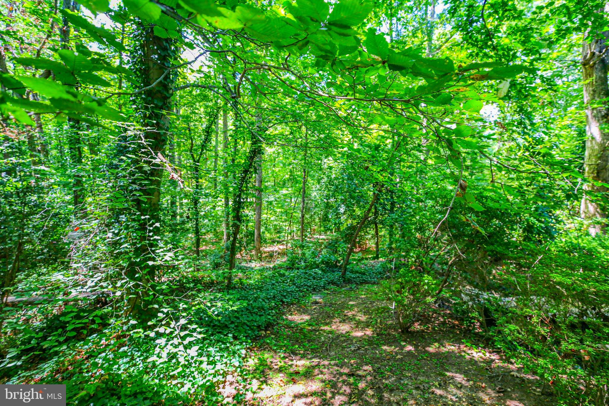 TWIN LAKES - Residential