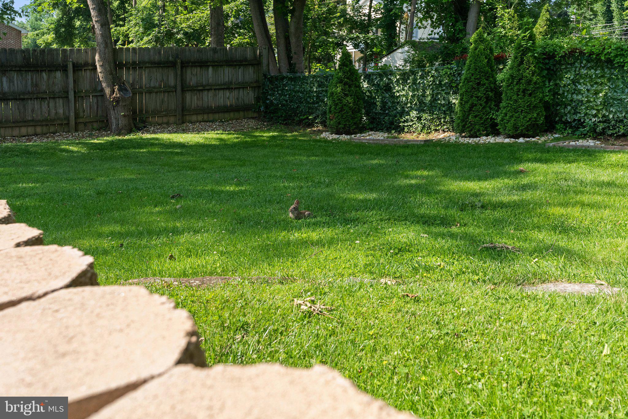 CHARLES TOWN - Residential