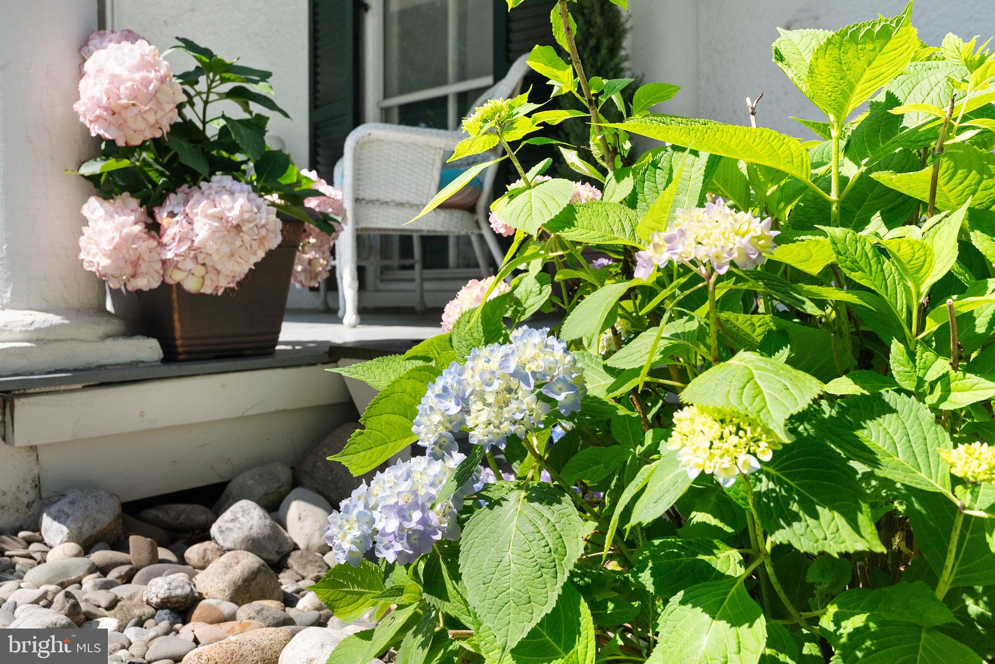 CHARLES TOWN - Residential