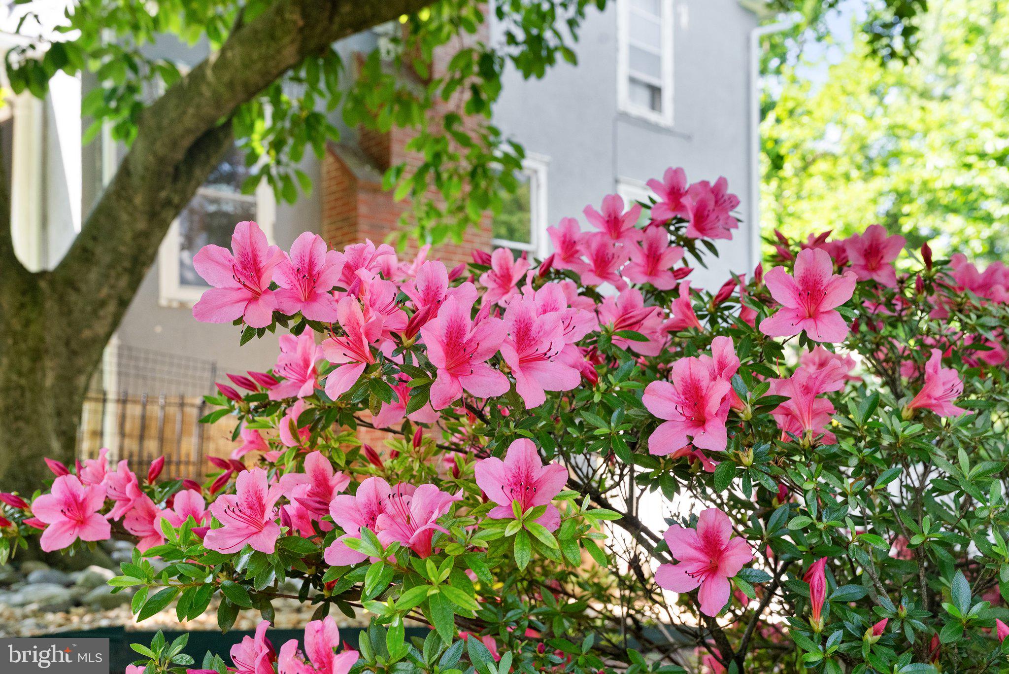 CHARLES TOWN - Residential