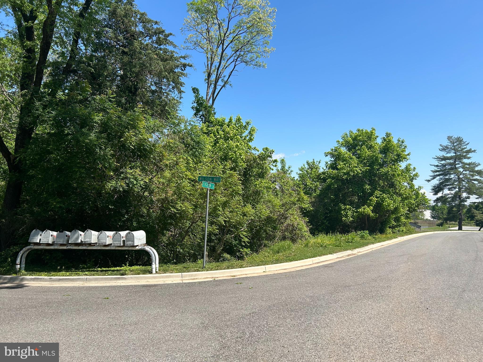 CHANEYS CHOICE - Residential