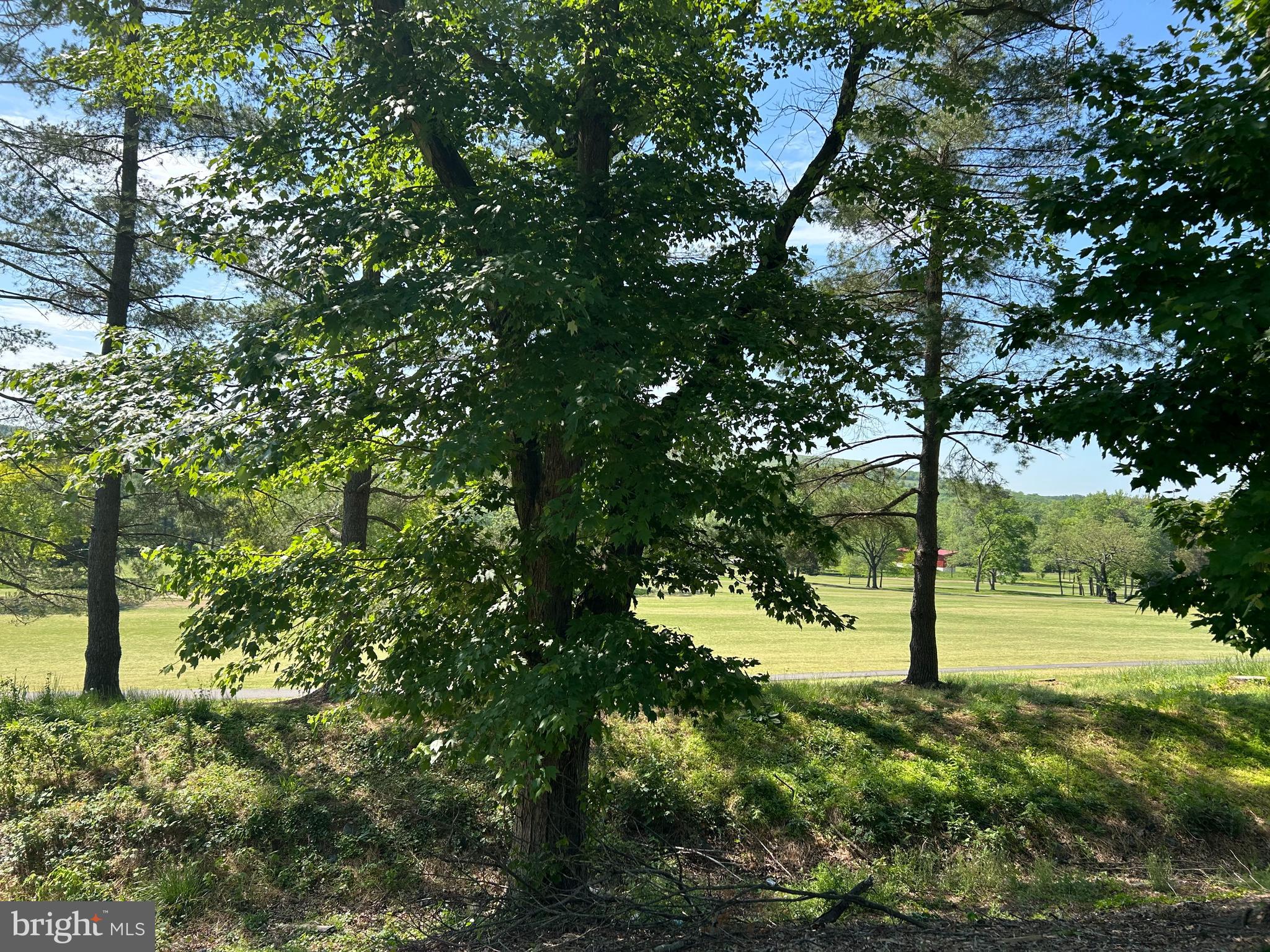 CHANEYS CHOICE - Residential