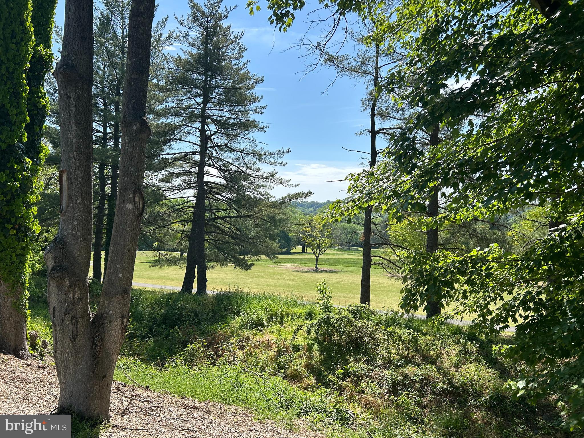 CHANEYS CHOICE - Residential