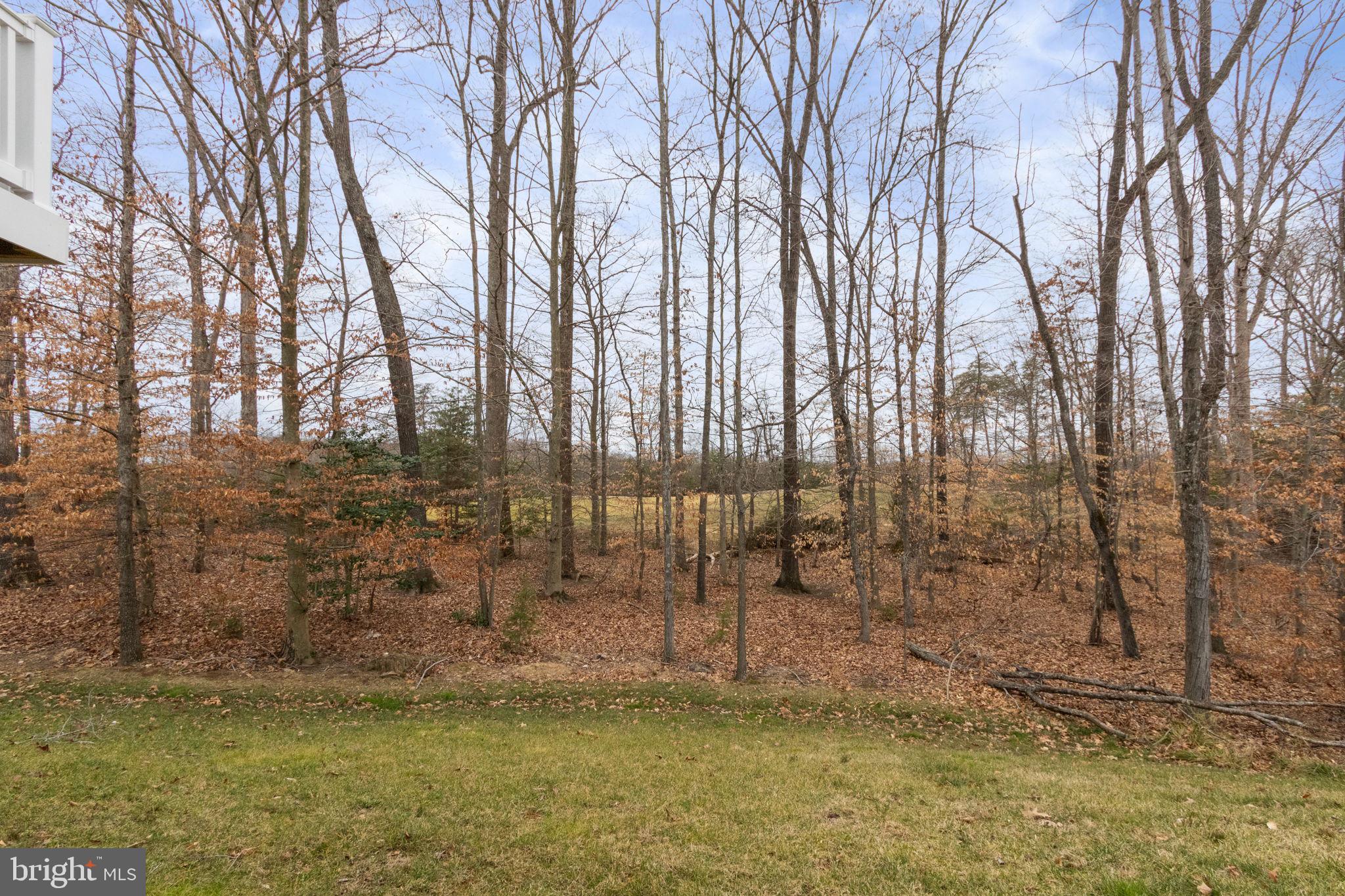 MAY'S QUARTER - Residential