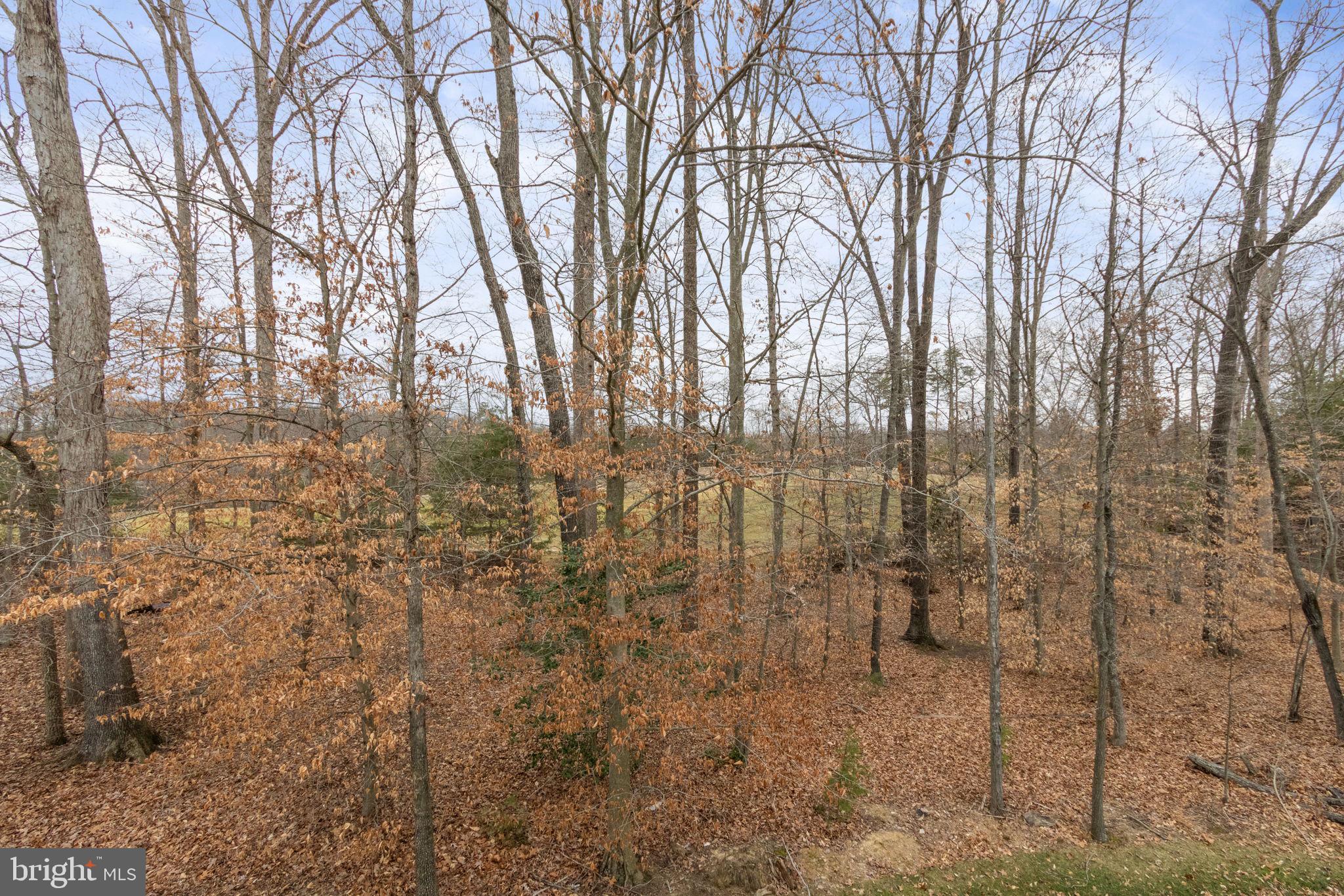 MAY'S QUARTER - Residential