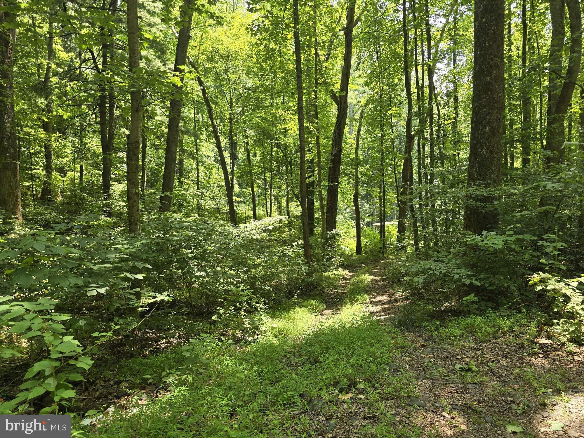 RAG MOUNTAIN ESTATES - Land