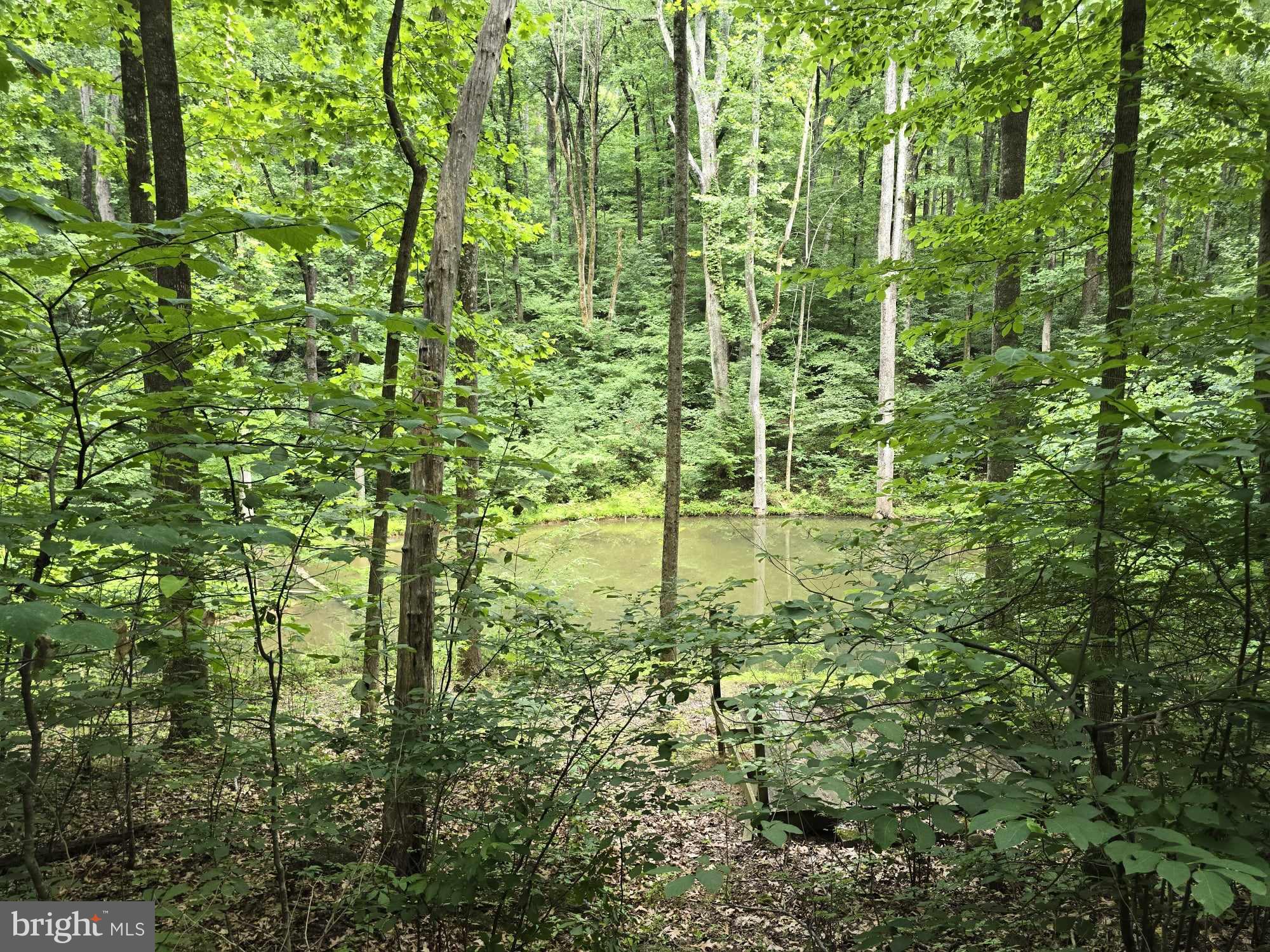 RAG MOUNTAIN ESTATES - Land