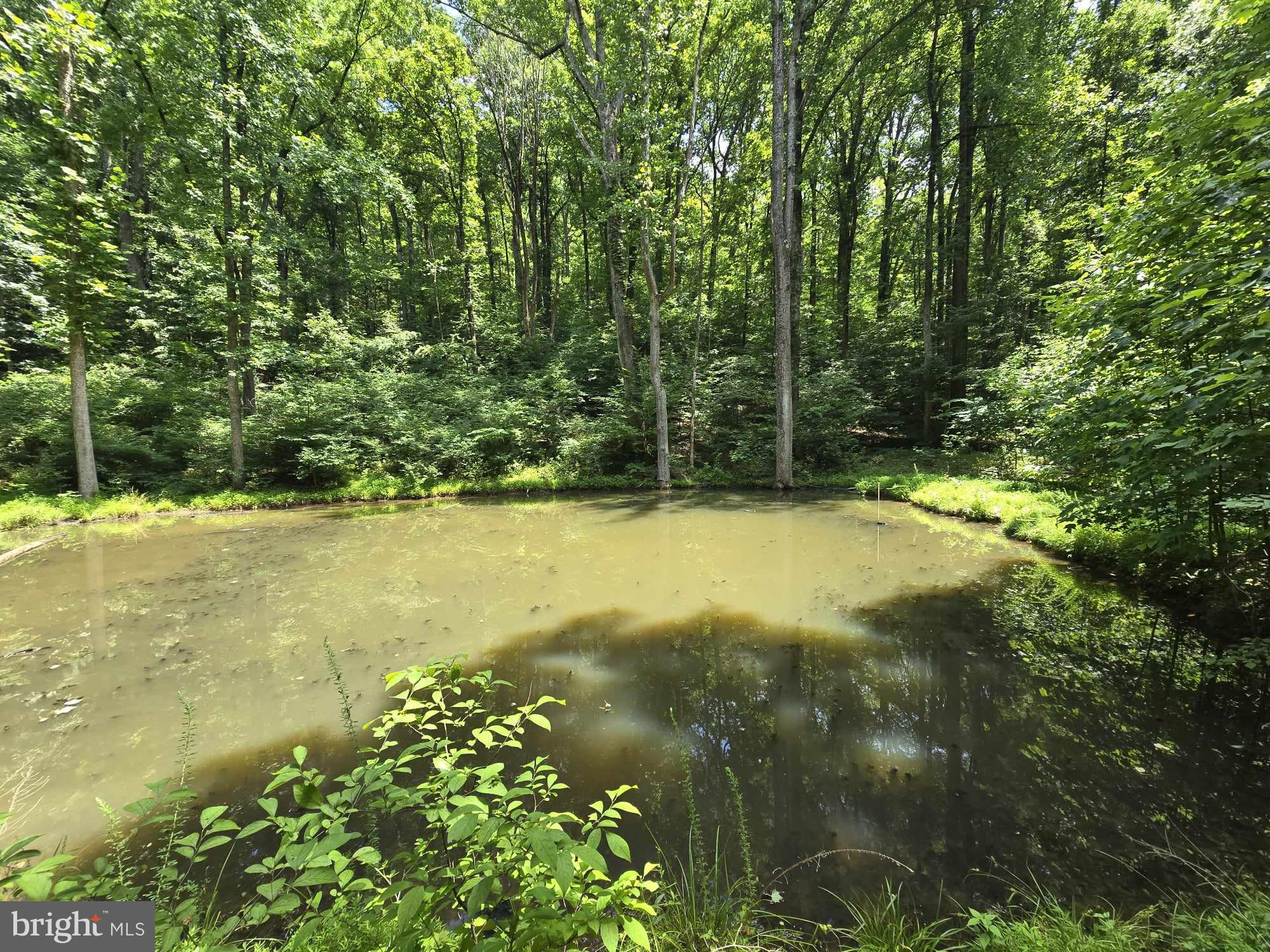 RAG MOUNTAIN ESTATES - Land