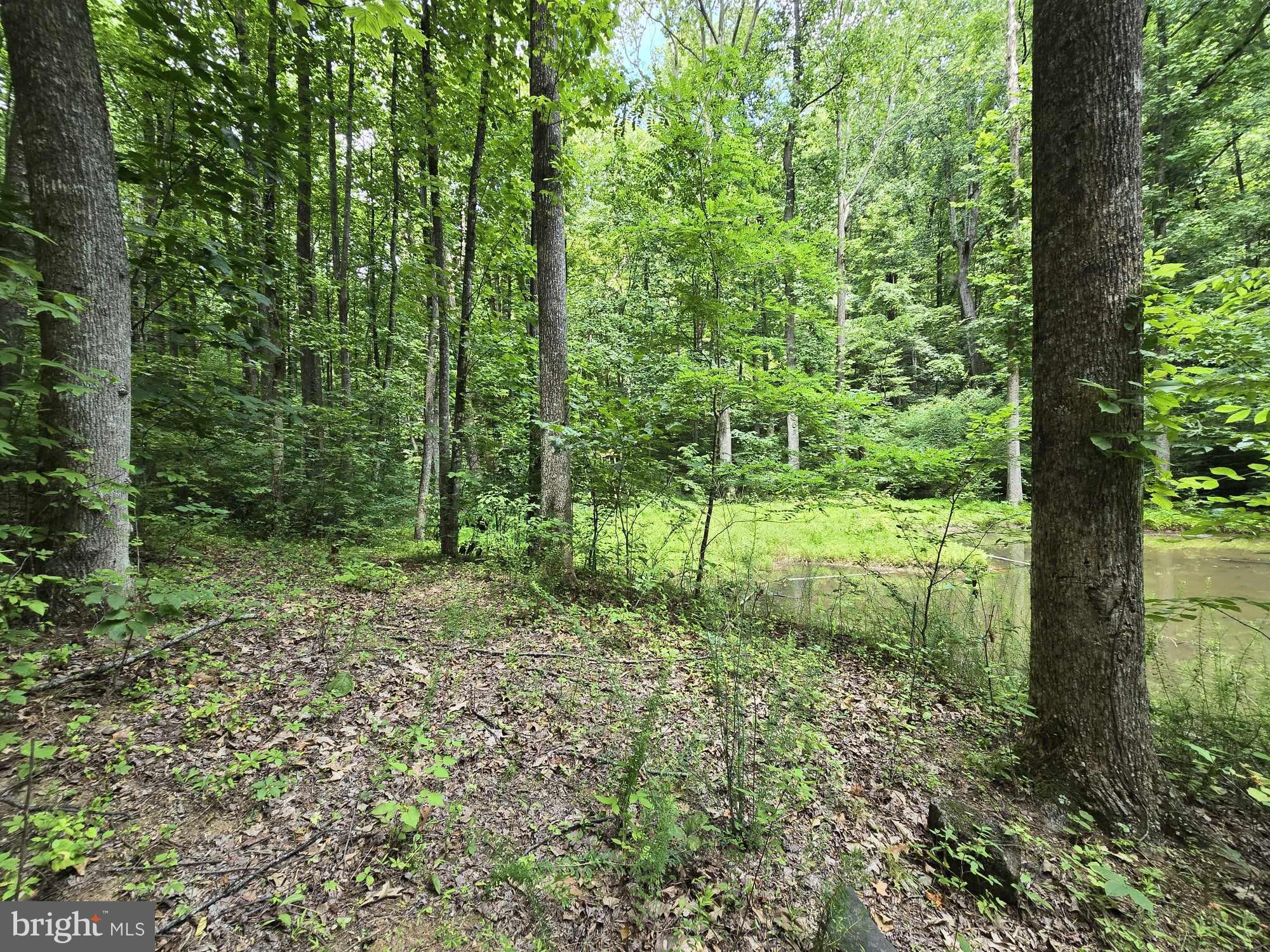 RAG MOUNTAIN ESTATES - Land