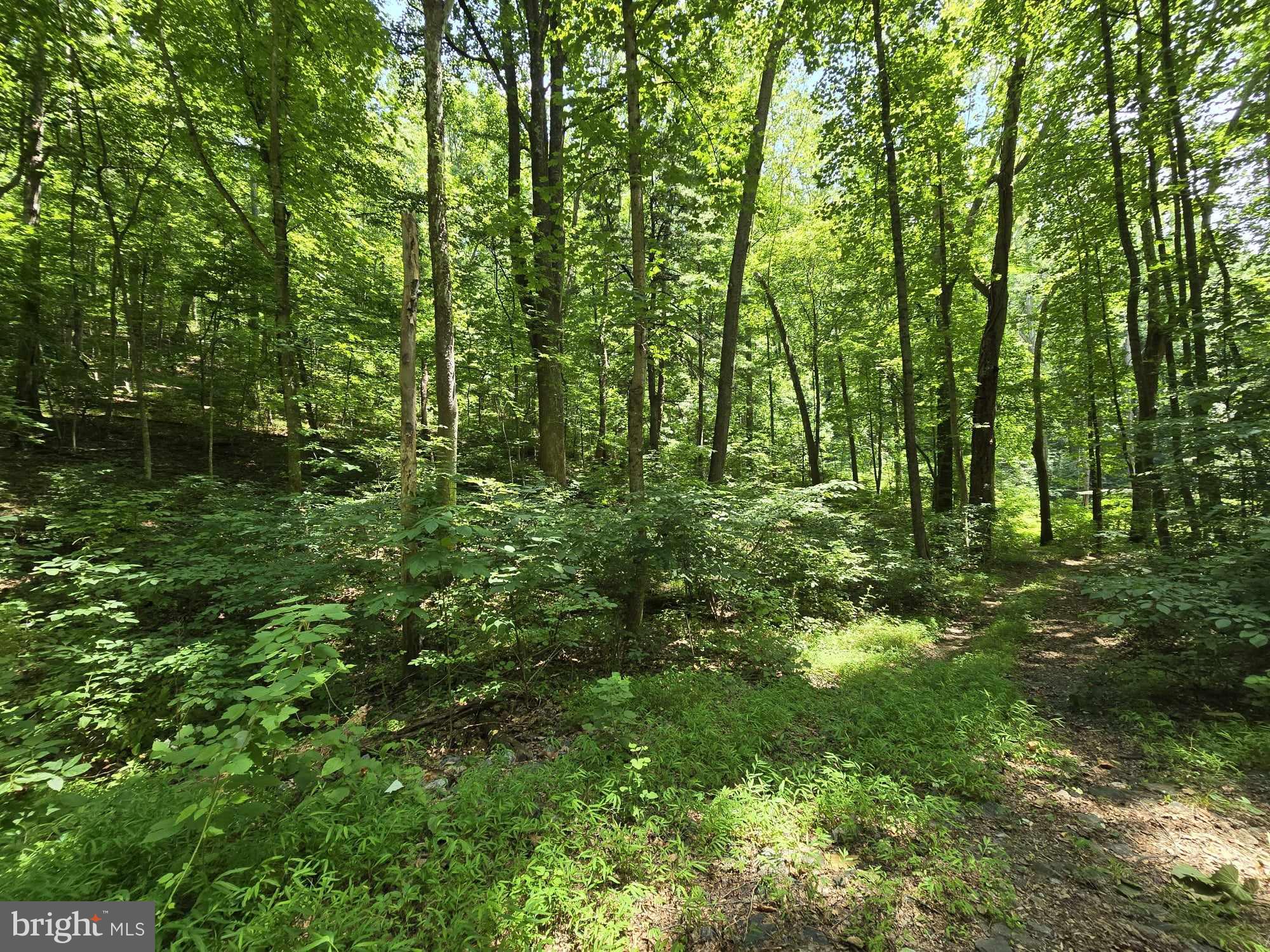 RAG MOUNTAIN ESTATES - Land