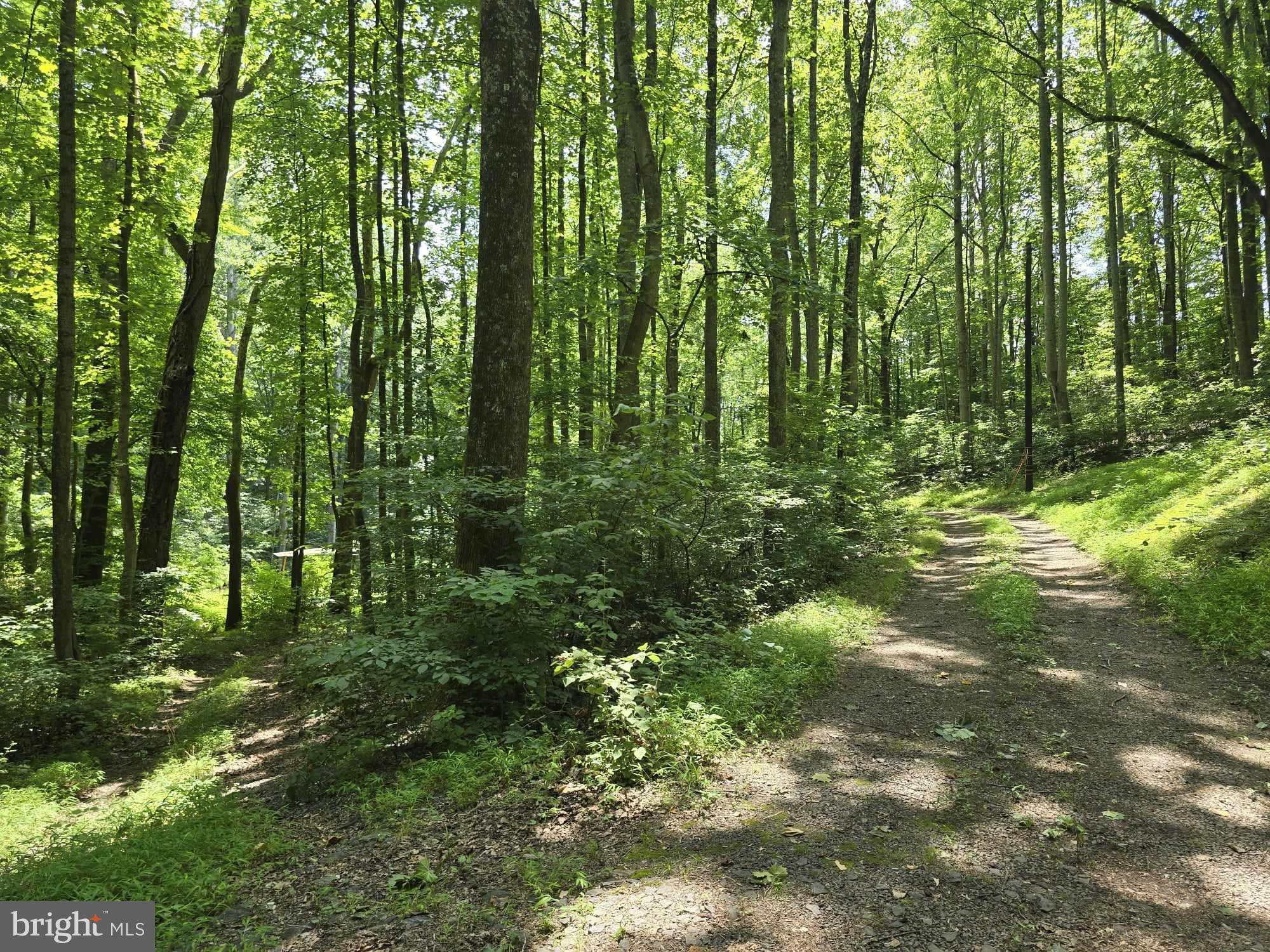 RAG MOUNTAIN ESTATES - Land