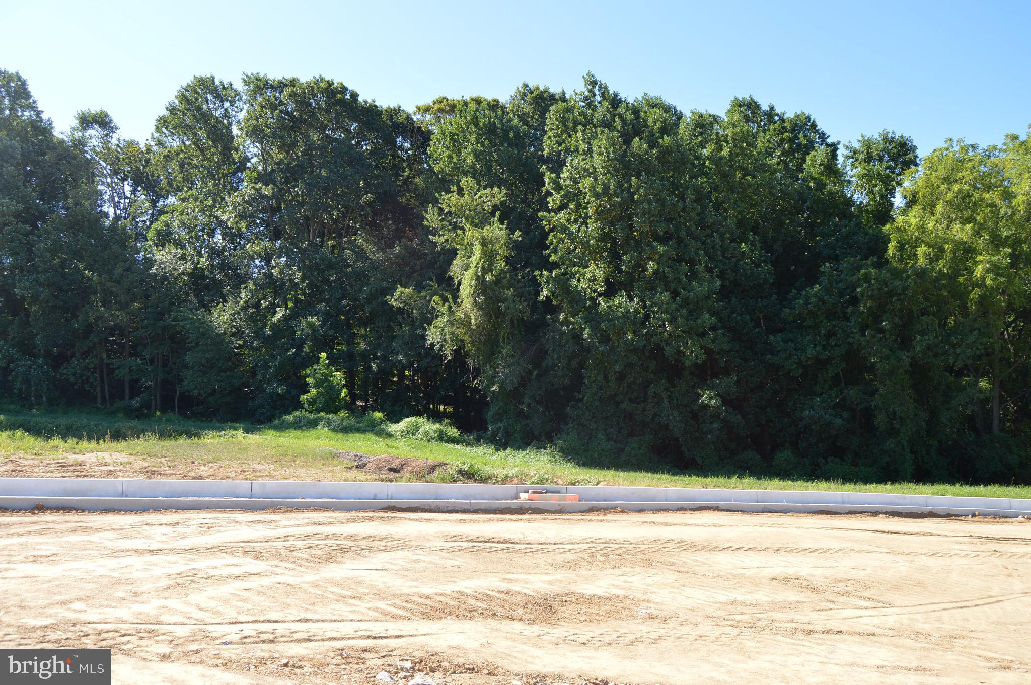 COPPERLEAF RIDGE - Residential