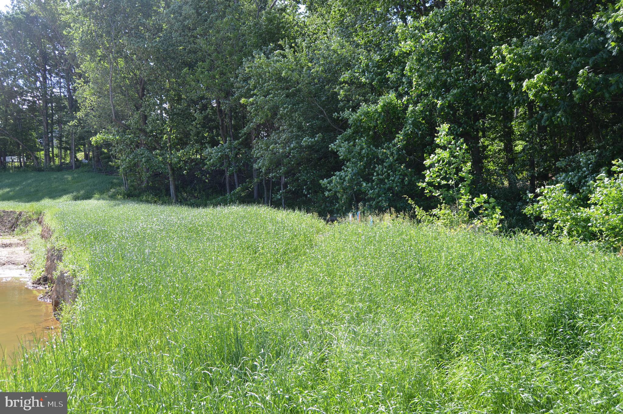 COPPERLEAF RIDGE - Residential