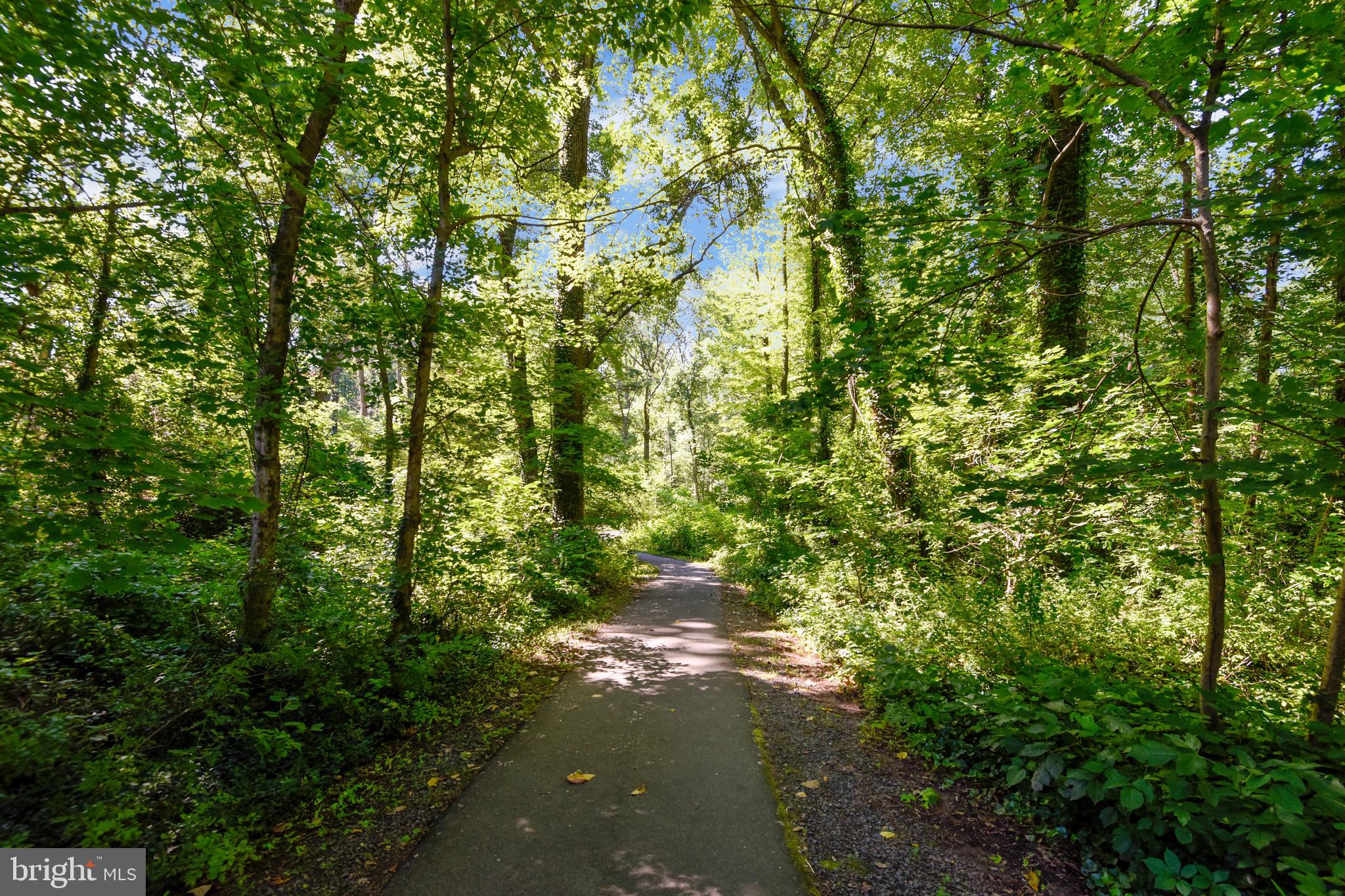 HANSBOROUGH - Residential