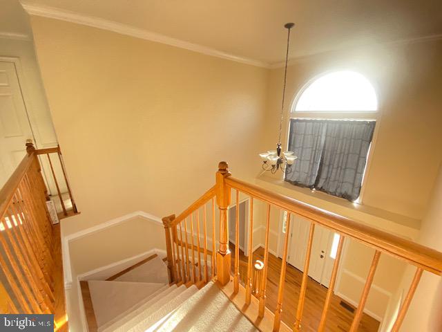 POPLAR HILLS - Residential Lease