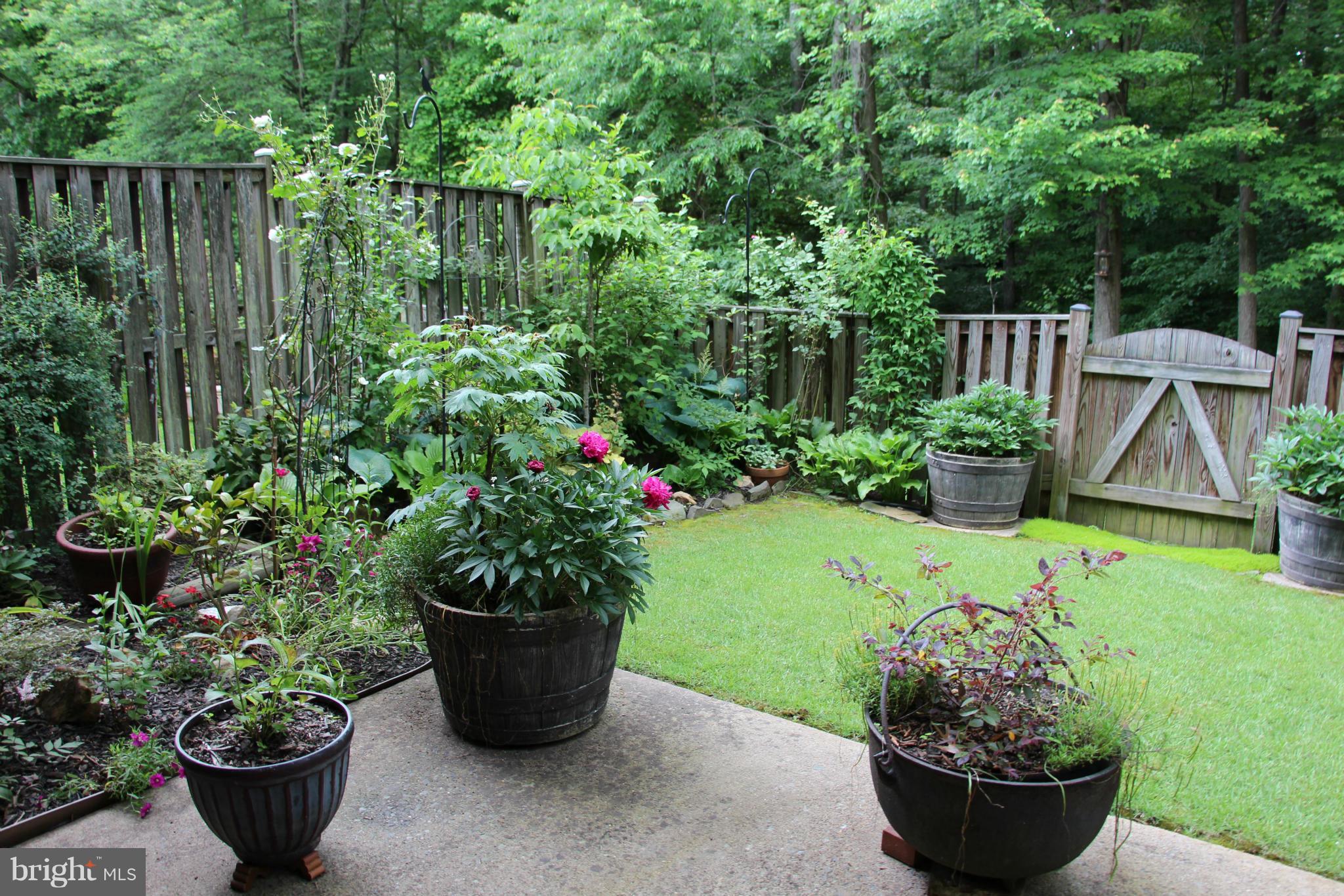 BURKE STATION SQUARE - Residential