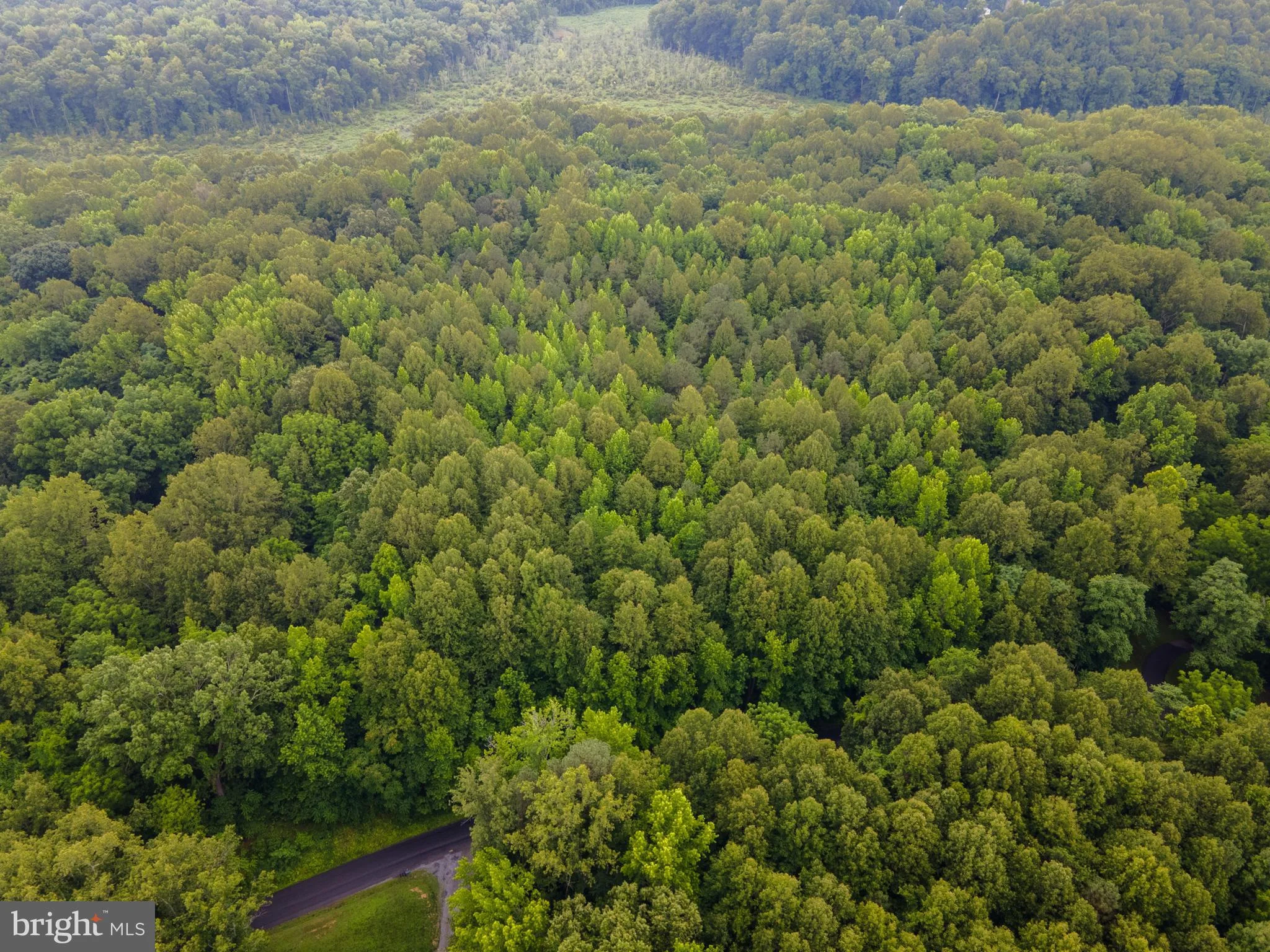Additional image 24 of (Tax Map 17-21) Saint Paul Rd, King George, VA 22485