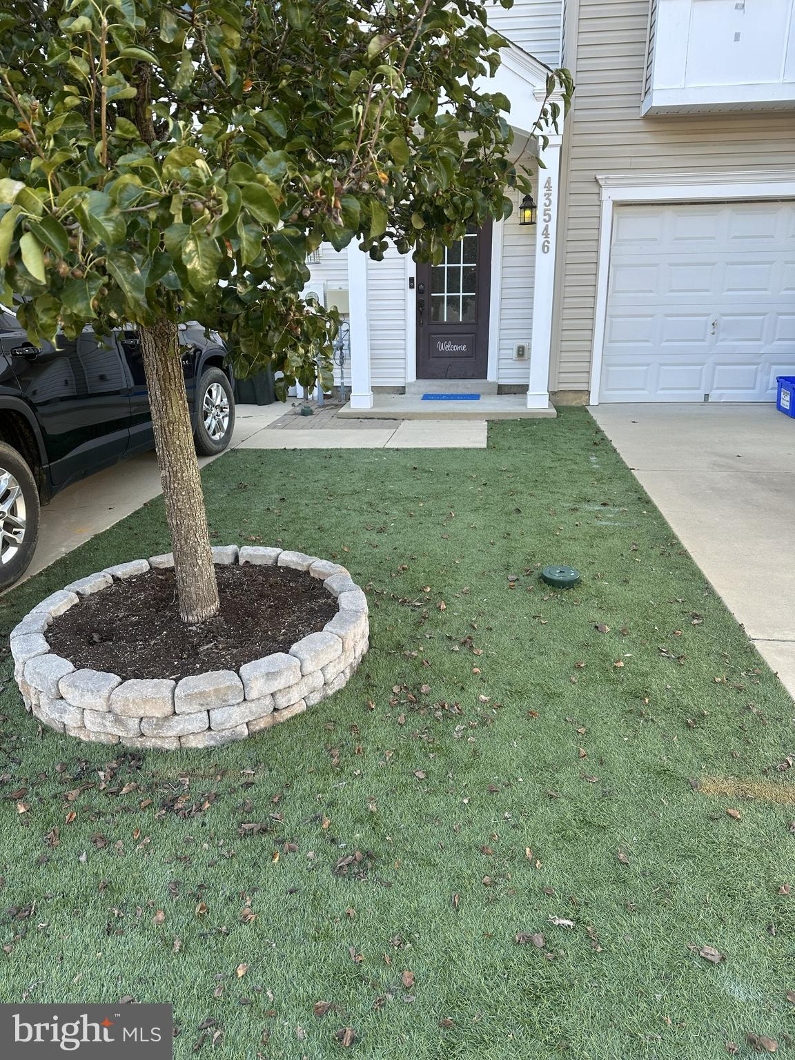 43546 WILD IRIS STREET