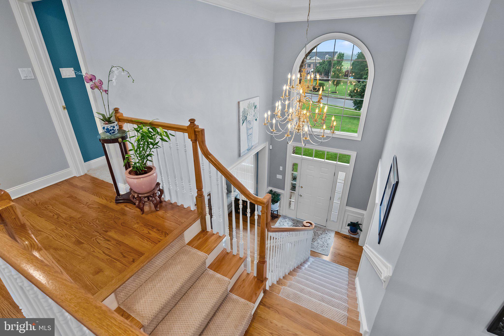 SOLY ESTATES - Residential