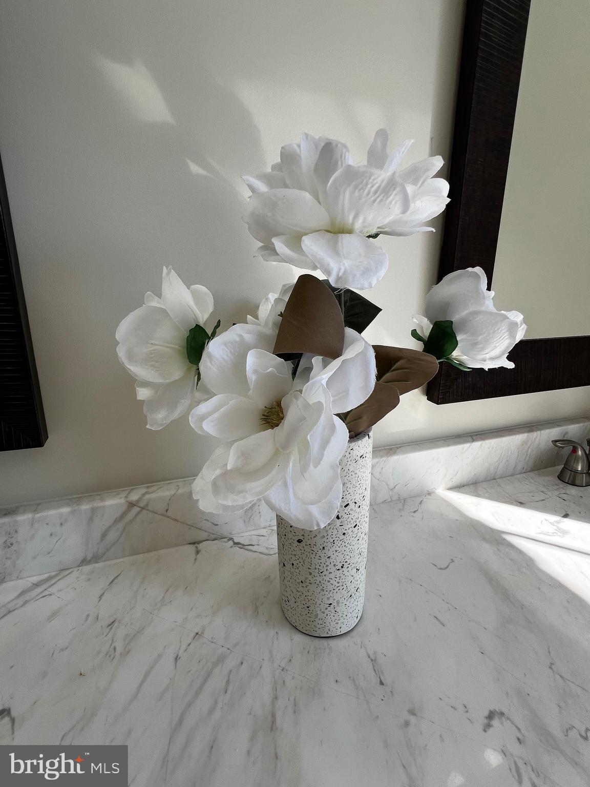 CAMBRIDGE CROSSING - Residential