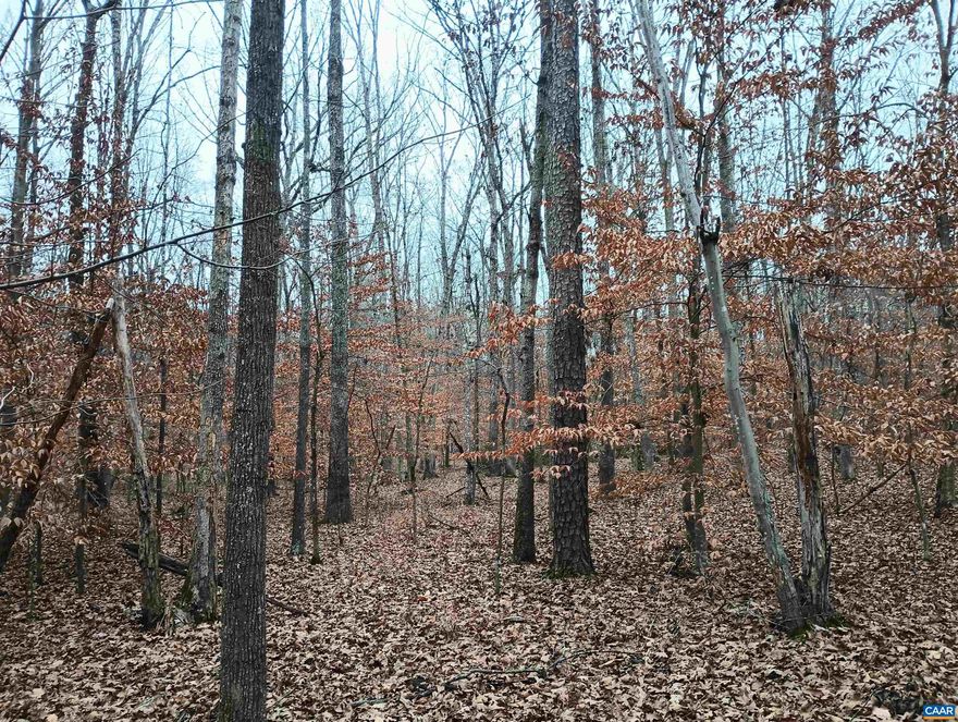 This 10 acre wooded parcel offers acreage for privacy, with no restrictions, easy access from the road for driveway construction, and multiple possible homesite locations. The woods are mature, easy to walk and see through so ideal for hiking or hunting! There are slightly elevated areas at the front/middle of the property, then a lower area /possible spring site, before it rises up to a low ridge at the rear. There is a power pole on the property at the road with Firefly broadband internet so remote working is a possibility. This parcel is only 12 miles/ 17 mins to Scottsville for the grocery shopping, Farmers Market, restaurants, breweries etc.and Charlottesville is only 32 miles/45 mins. Enjoy country living & an easy commute to a city with all its amenities!  Lynchburg is 55 miles/1hr+- For outdoor lovers,  only 4+-miles to the James River boat landing at Howardsville for fishing, canoeing, tubing etc & within 35 mins of the James River State Park and Holiday Lake State Parks.