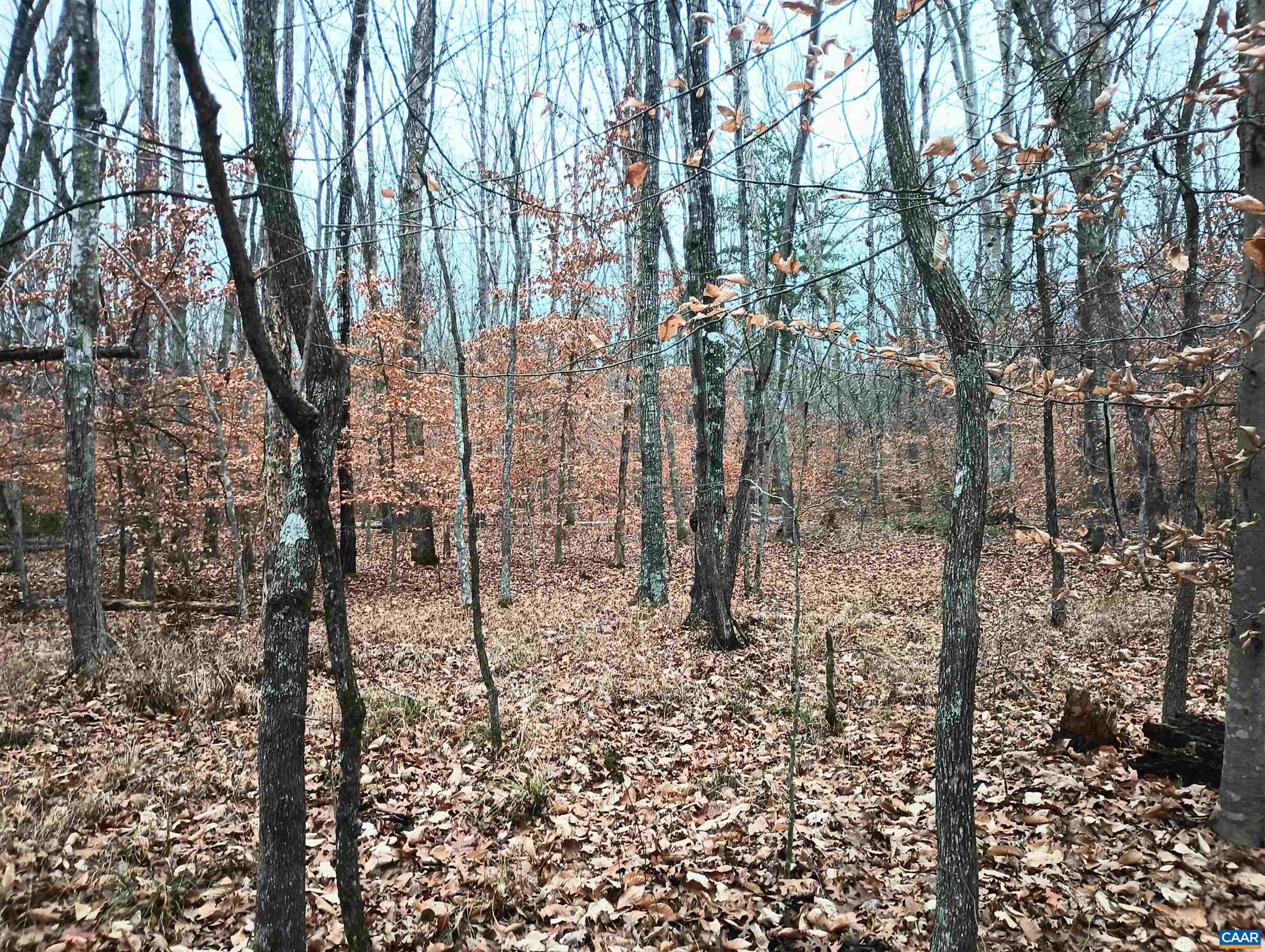 NONE AVAILABLE - Land