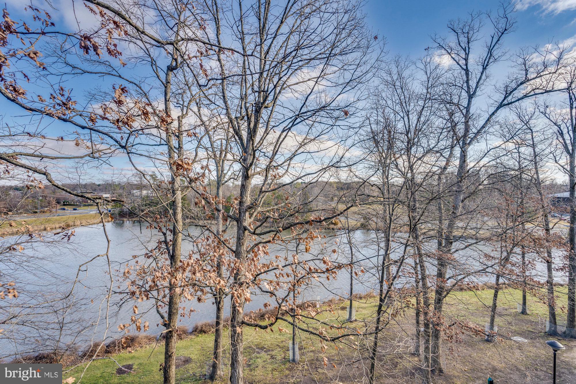 EDGEWATER AT TOWN CENTER - Residential