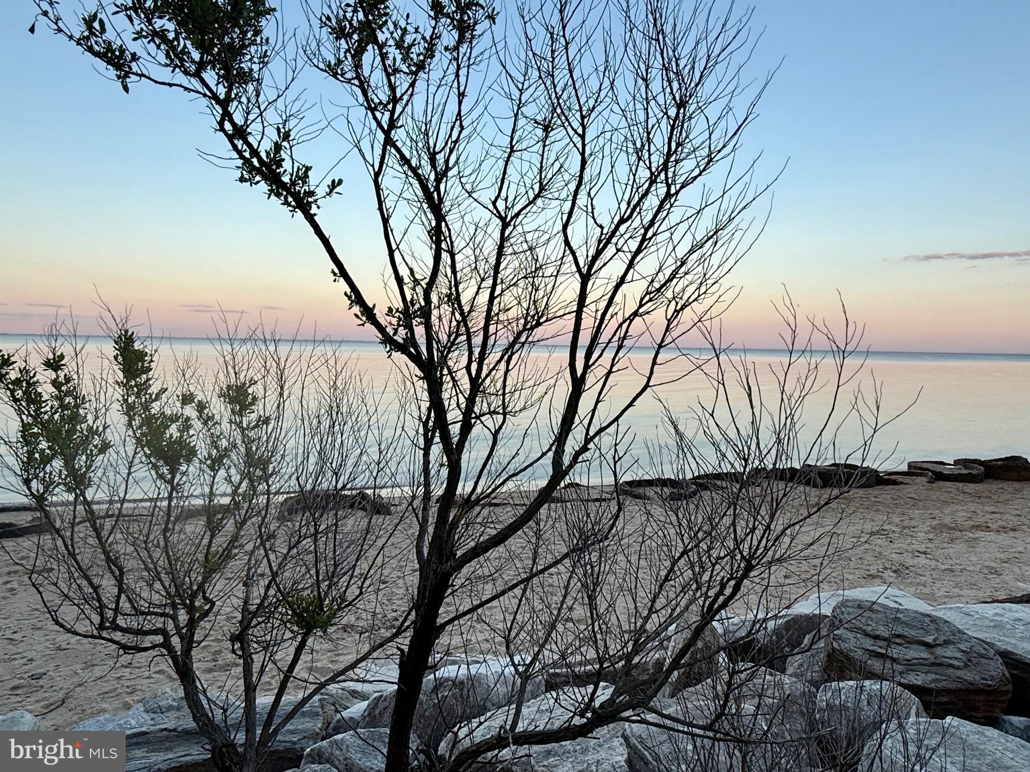 CEDAR COVE - Residential