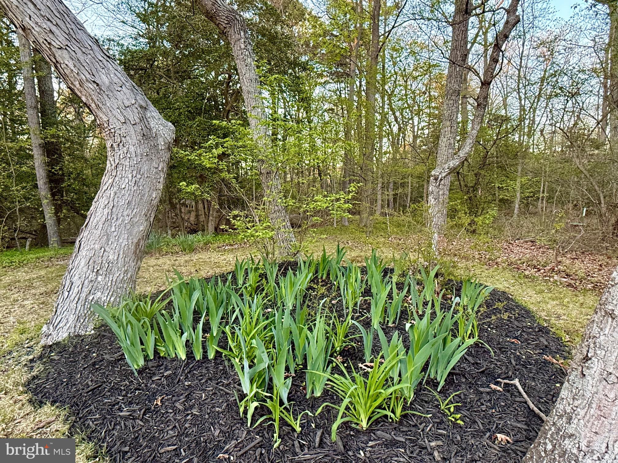 CEDAR COVE - Residential