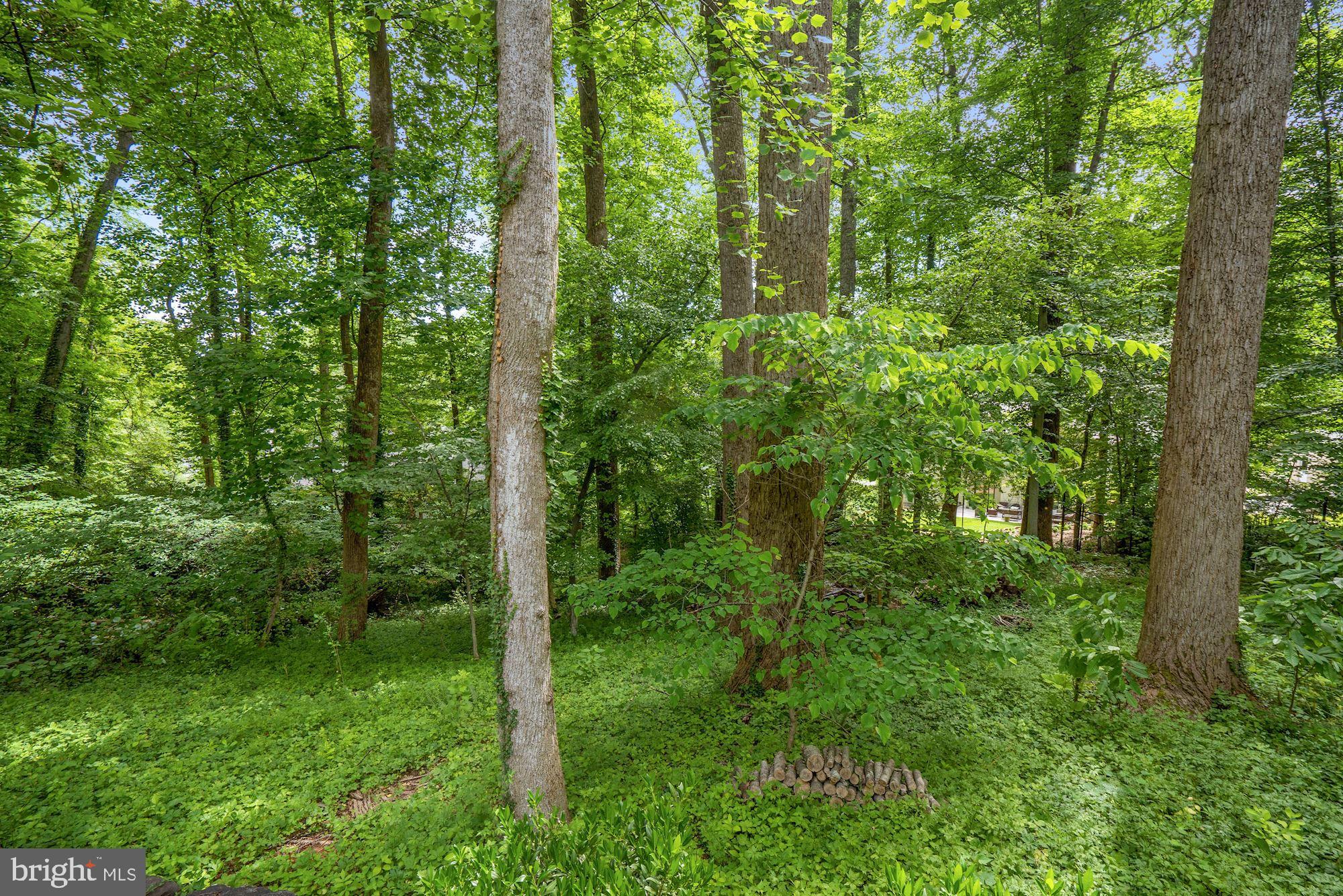 BETHESDA OUTSIDE - Residential