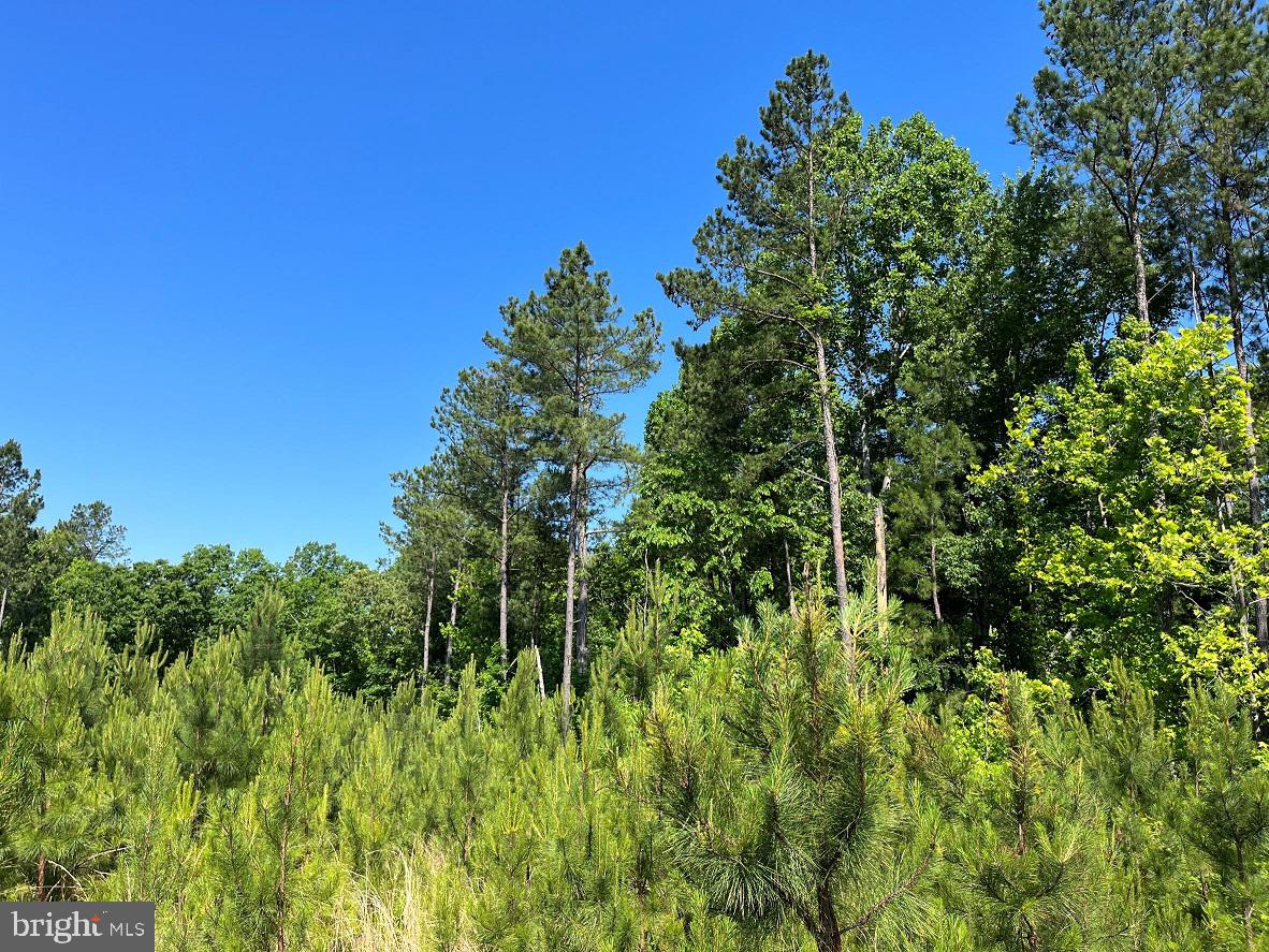 MOUNTAIN CREEK ROAD (RT. 628) (TRACT: BK3208-3)