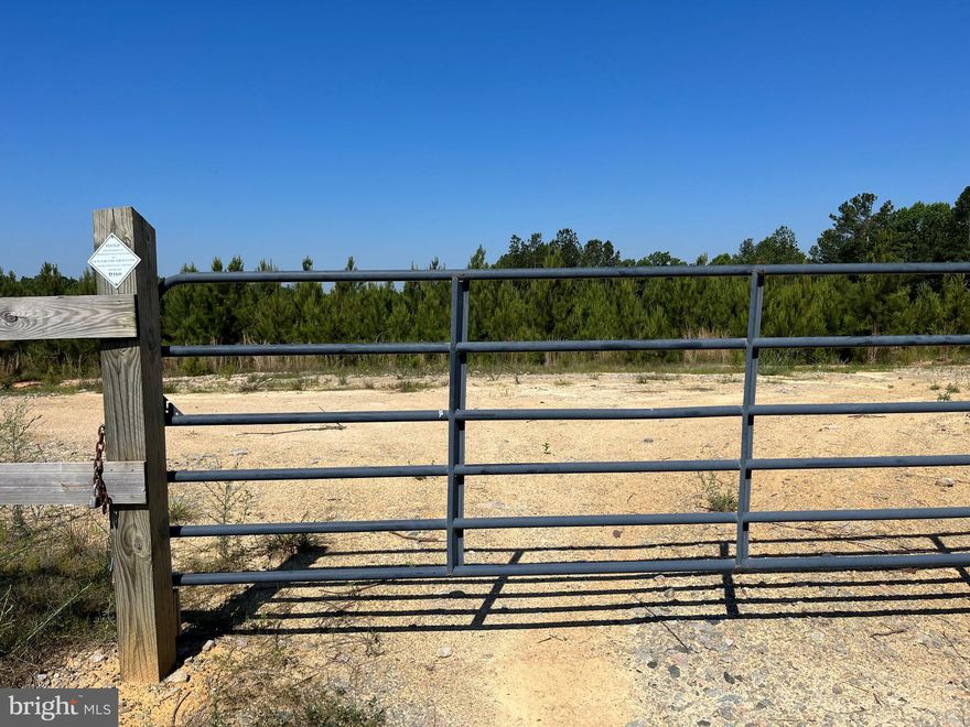 The BK3208-3 Tract is 206.54 acres located West of Green Bay approximately 3 miles from Hwy. 360.  This tract lays rolling with 1,930' of frontage on Mountain Creek Road and a small spring on the southern boundary line.  The timber consists of 48.75 acres of 2014 planted Loblolly pine, 84.81 acres of 2017 planted Loblolly pine and 64.62 acres of mature hardwoods.  The BK3208-3 Tract is an excellent timber investment and would make a nice homestead or a small farm. This property will need to be surveyed and approved by the county before closing.