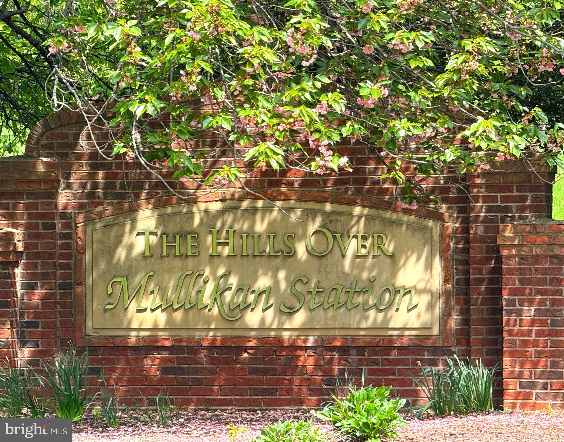 THE HILLS OVER MULLIKAN - Residential