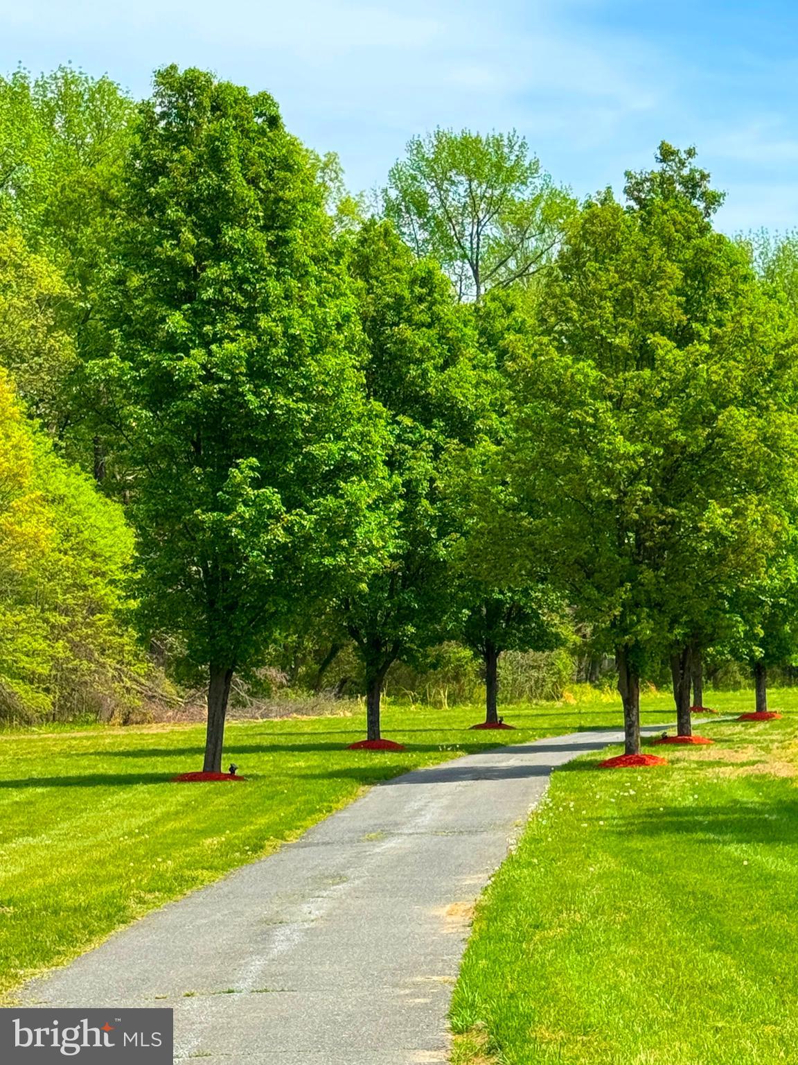 THE HILLS OVER MULLIKAN - Residential