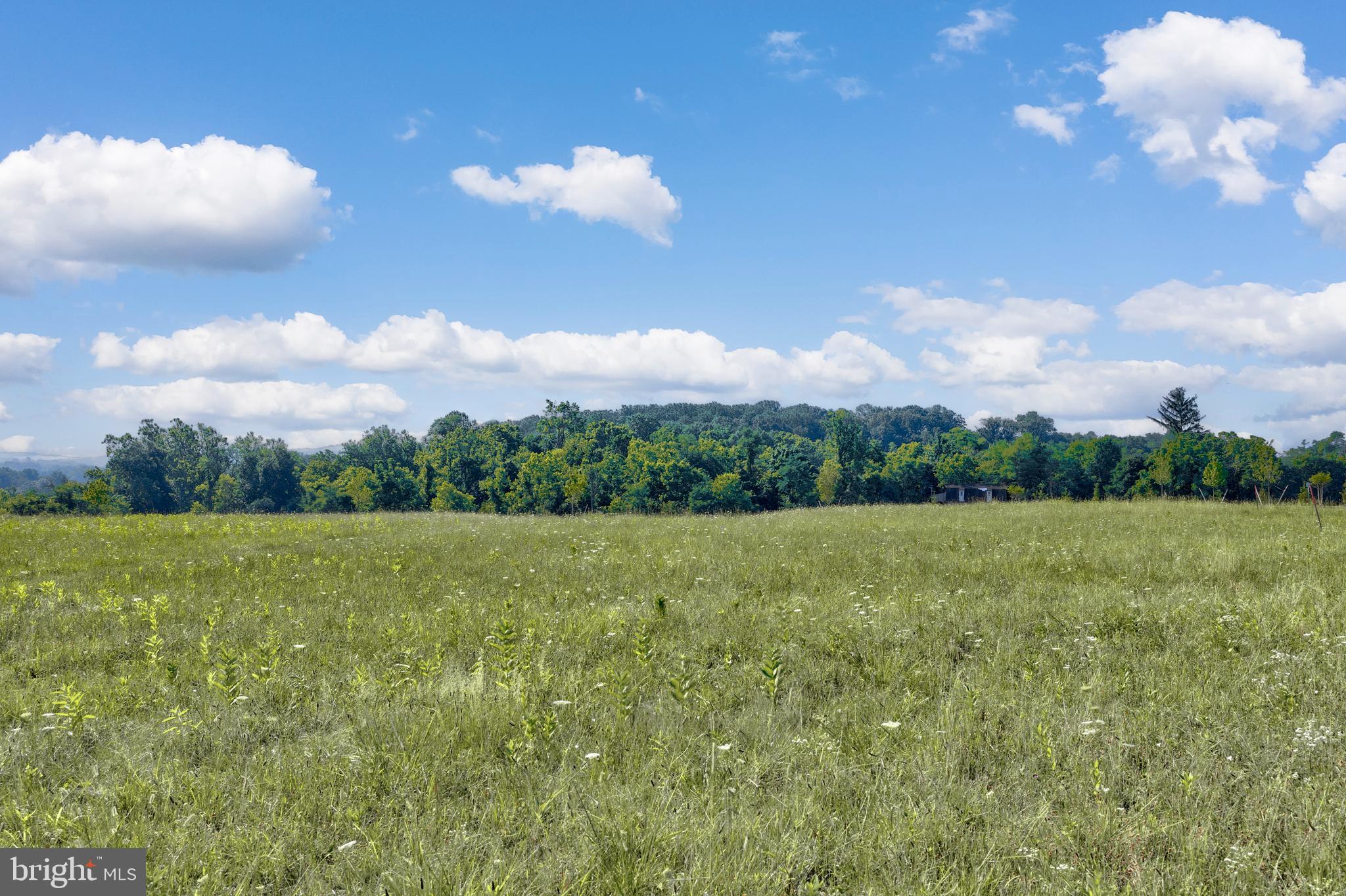MOWERY ORCHARDS - Land